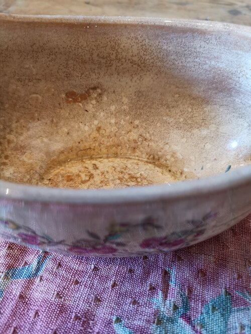 Inside view of French antique sauce gravy boat showing full floral design and elegant curved shape