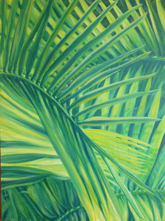 Palm composition 3