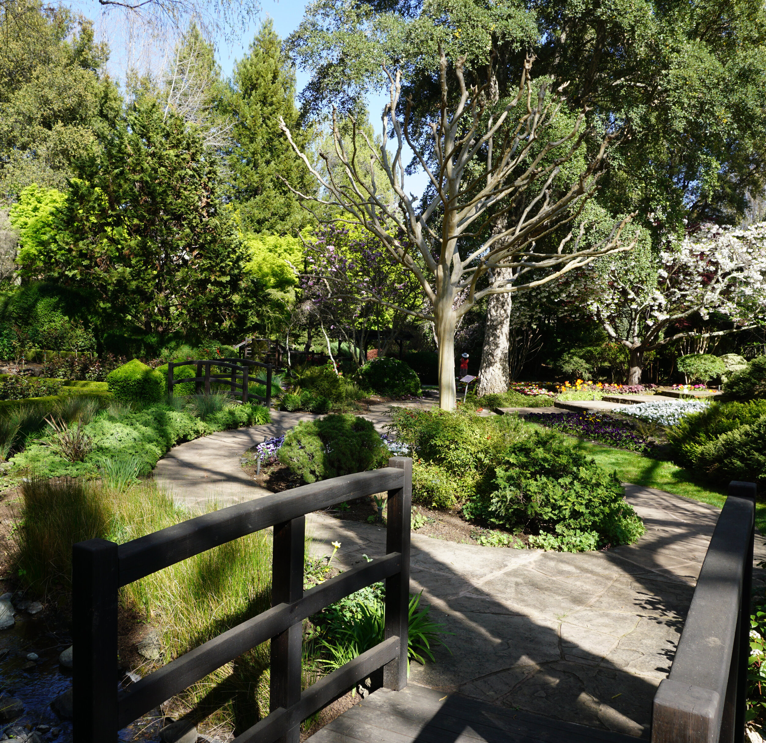 Bridge View Hidden Garden.jpg