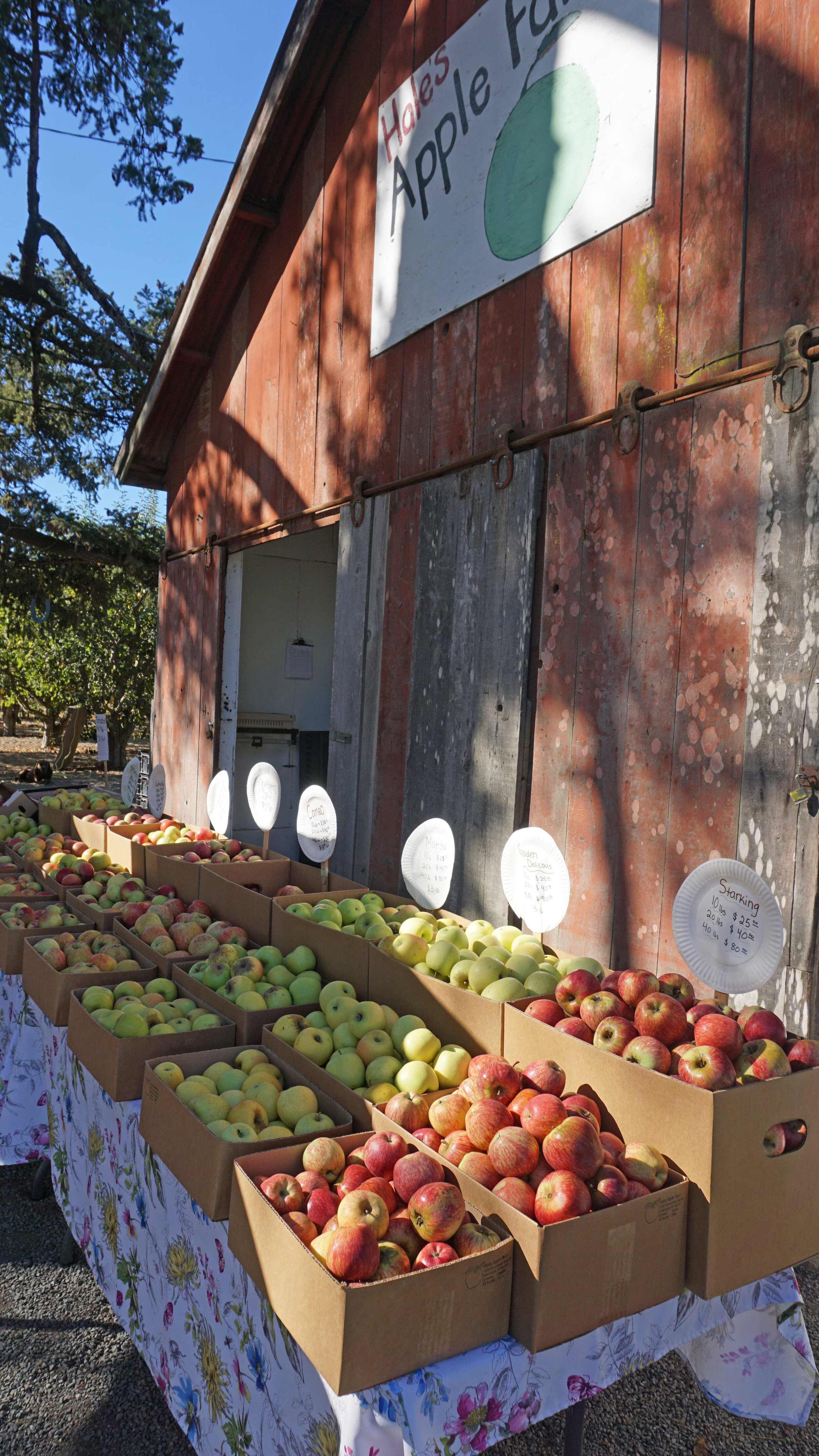barn-and-apples.jpg