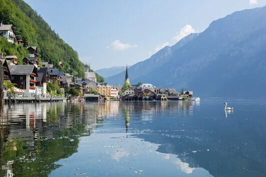 Blick auf ein Hallstatt am Ufer eines Hallstätter Sees mit Bergen im Hintergrund, eine weiße Schwan schwimmt im Wasser.