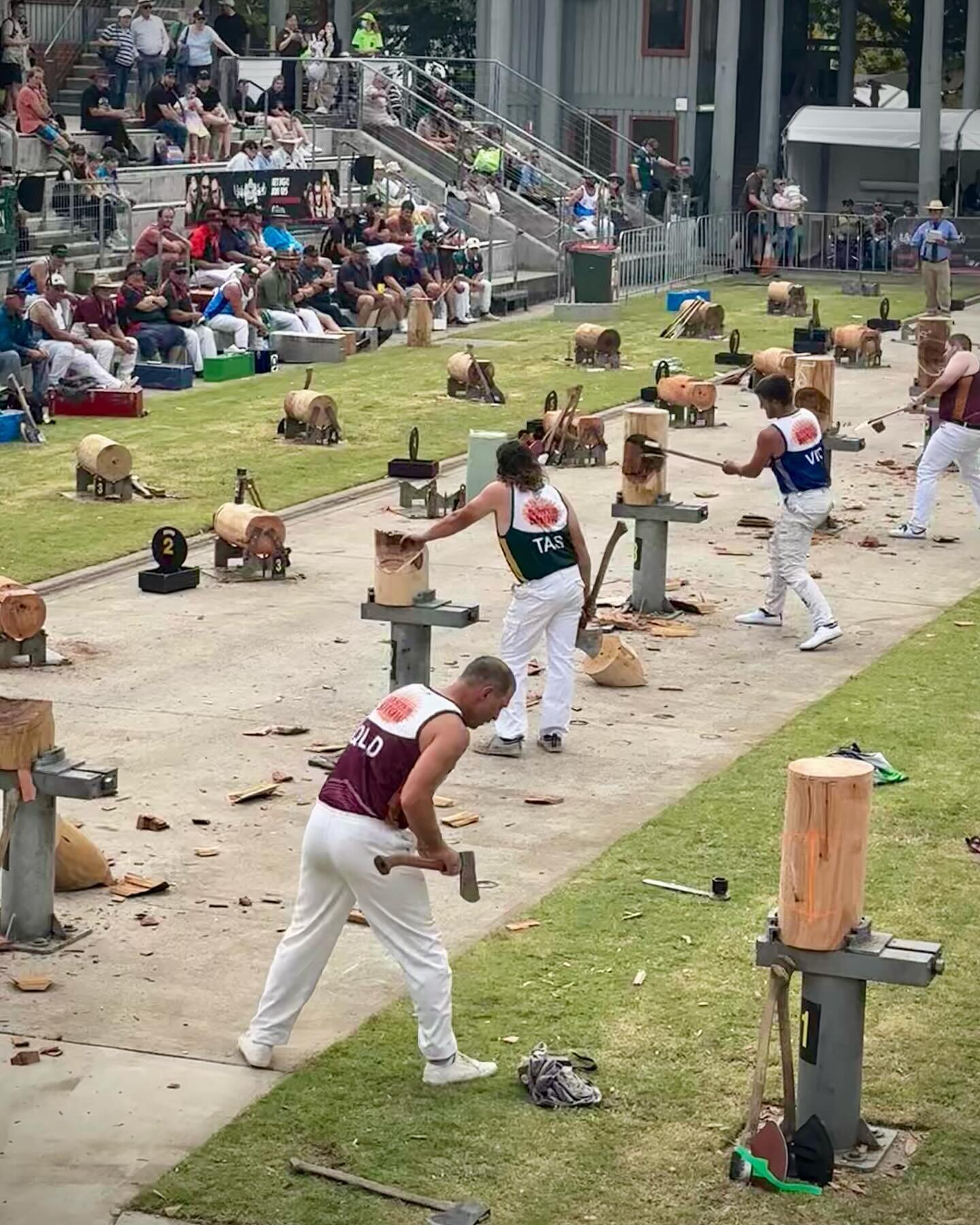 #woodchopping #eastershow