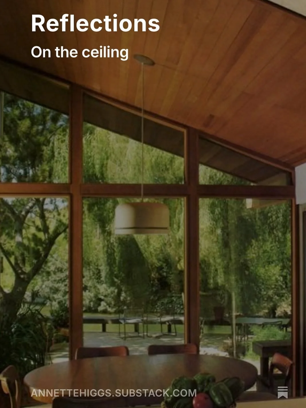 It’s Friday. A new How To Downsize is out. 
https://annettehiggs.substack.com/p/reflections