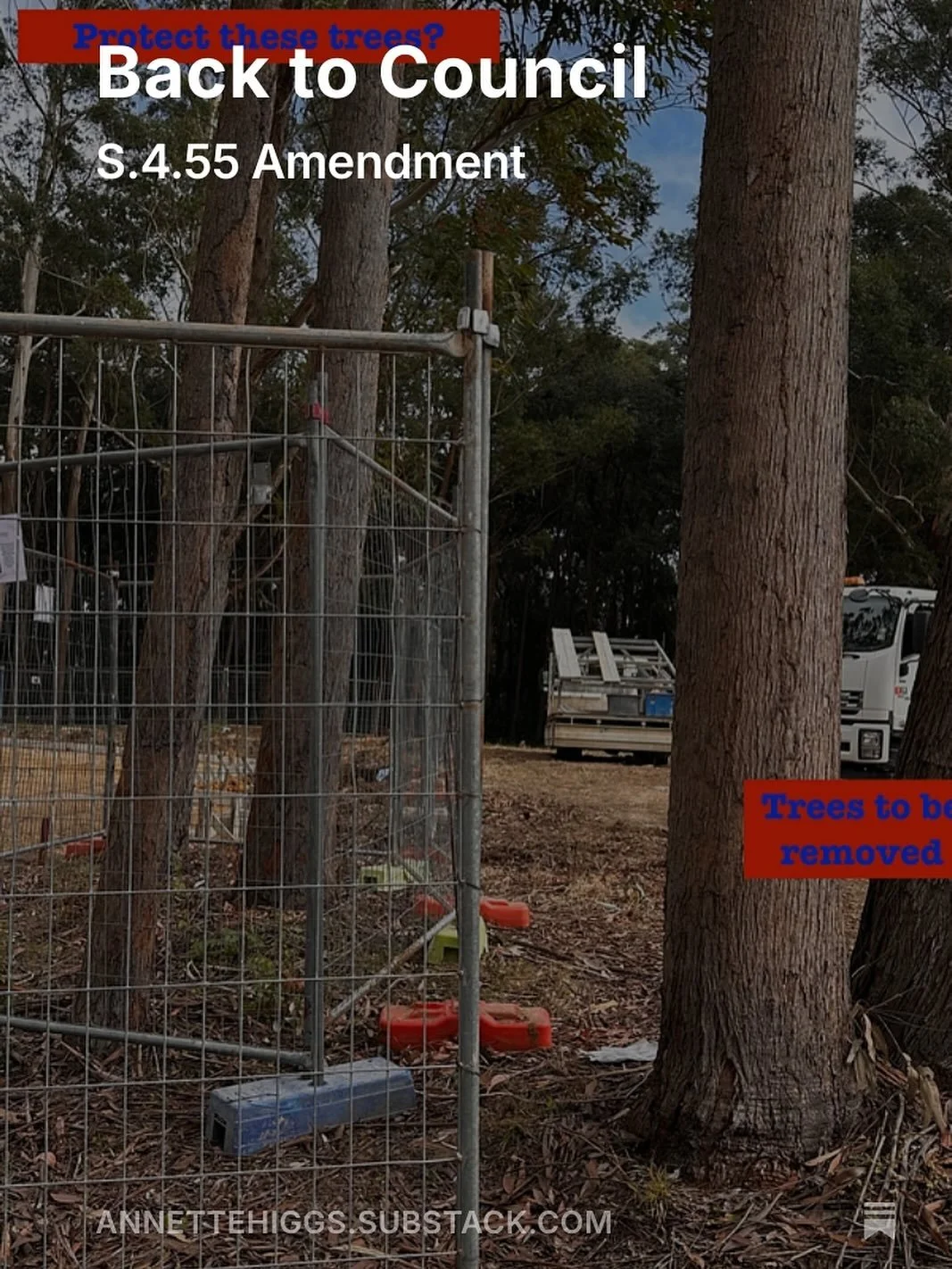 It’s Friday. A new How To Downsize is out. 
https://annettehiggs.substack.com/p/back-to-council