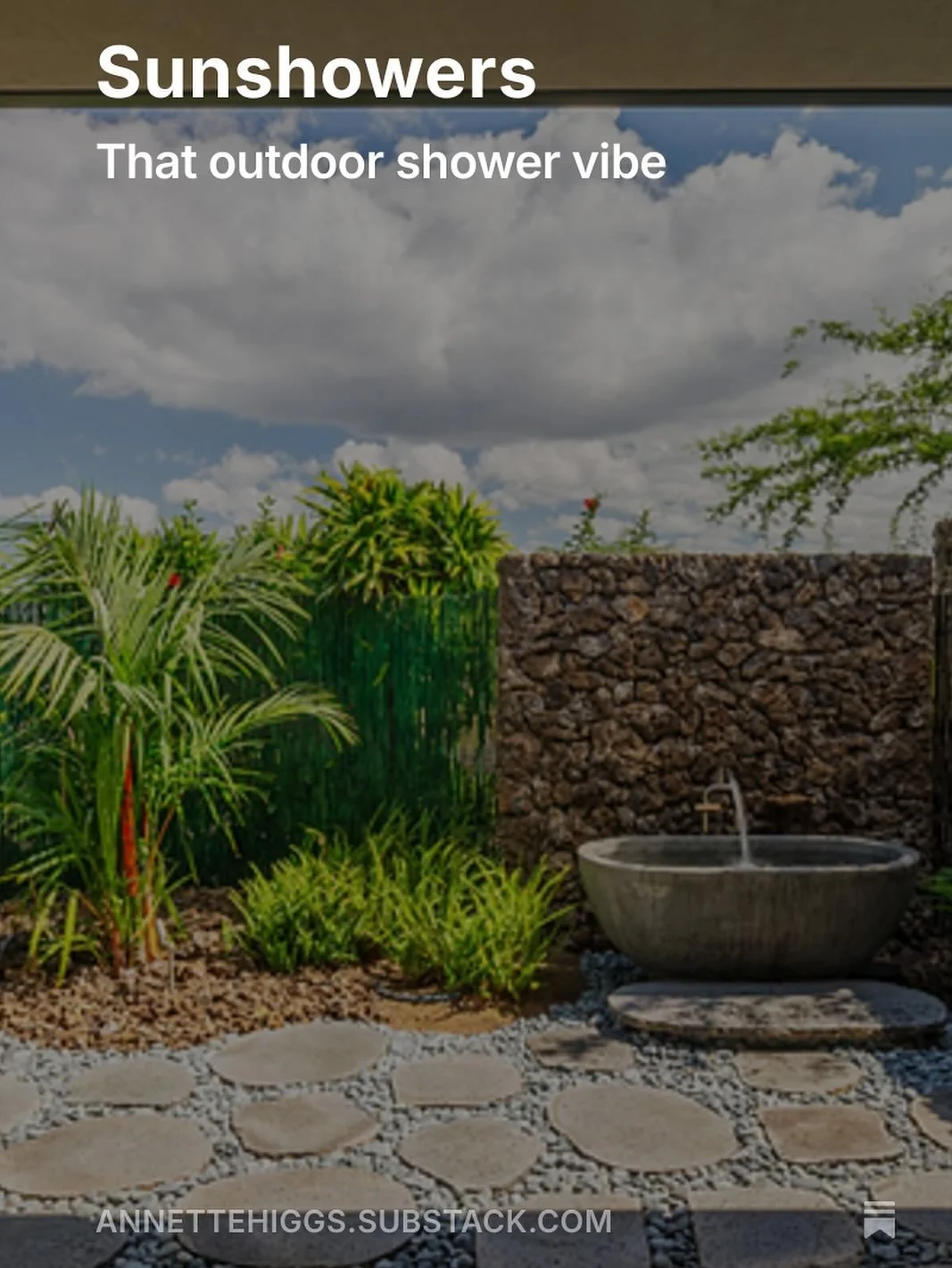 It’s Friday. A new How To Downsize is out. 
https://annettehiggs.substack.com/p/sunshowers