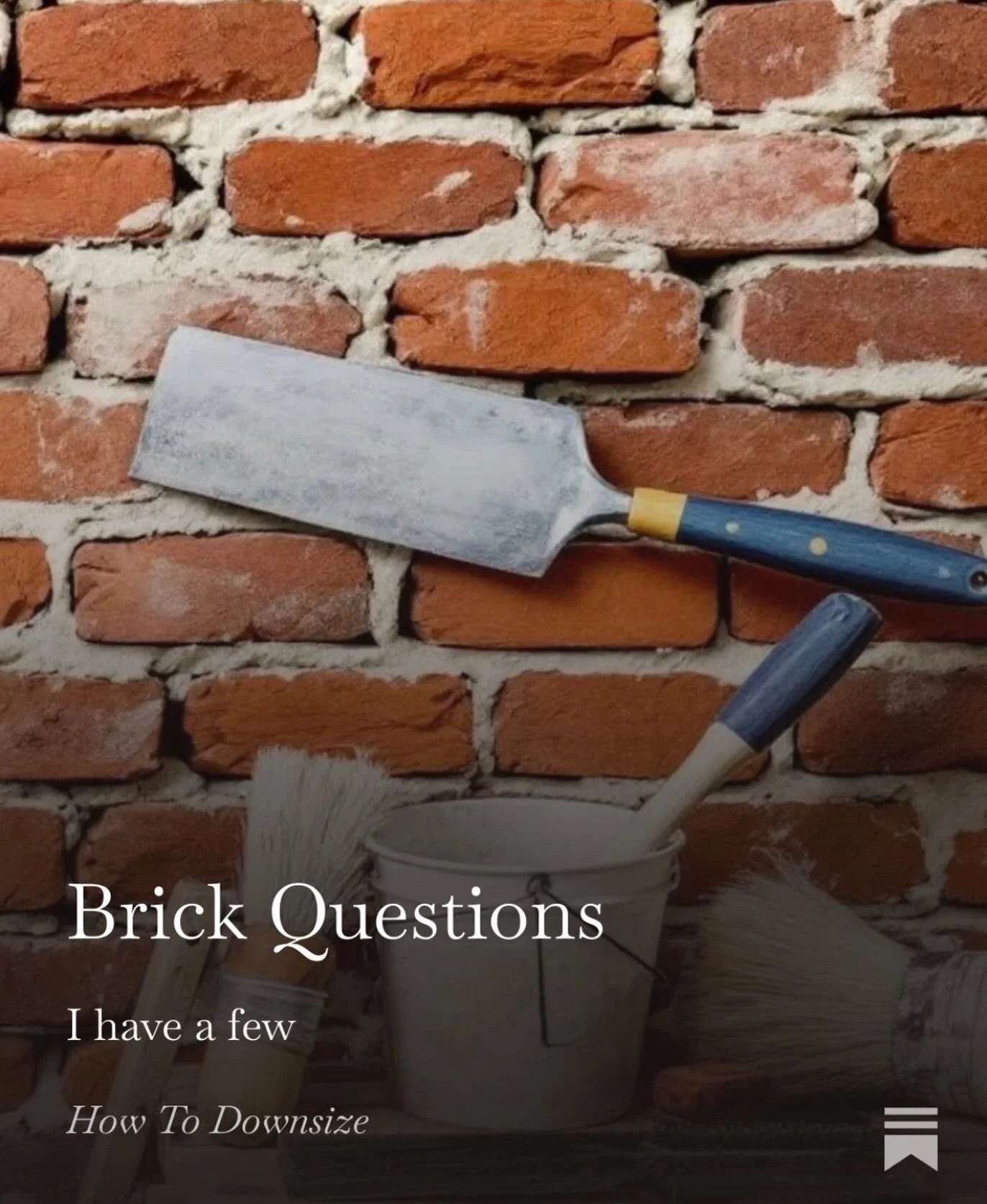 It&rsquo;s Friday. A new How To Downsize is out. 

https://annettehiggs.substack.com/p/brick-questions