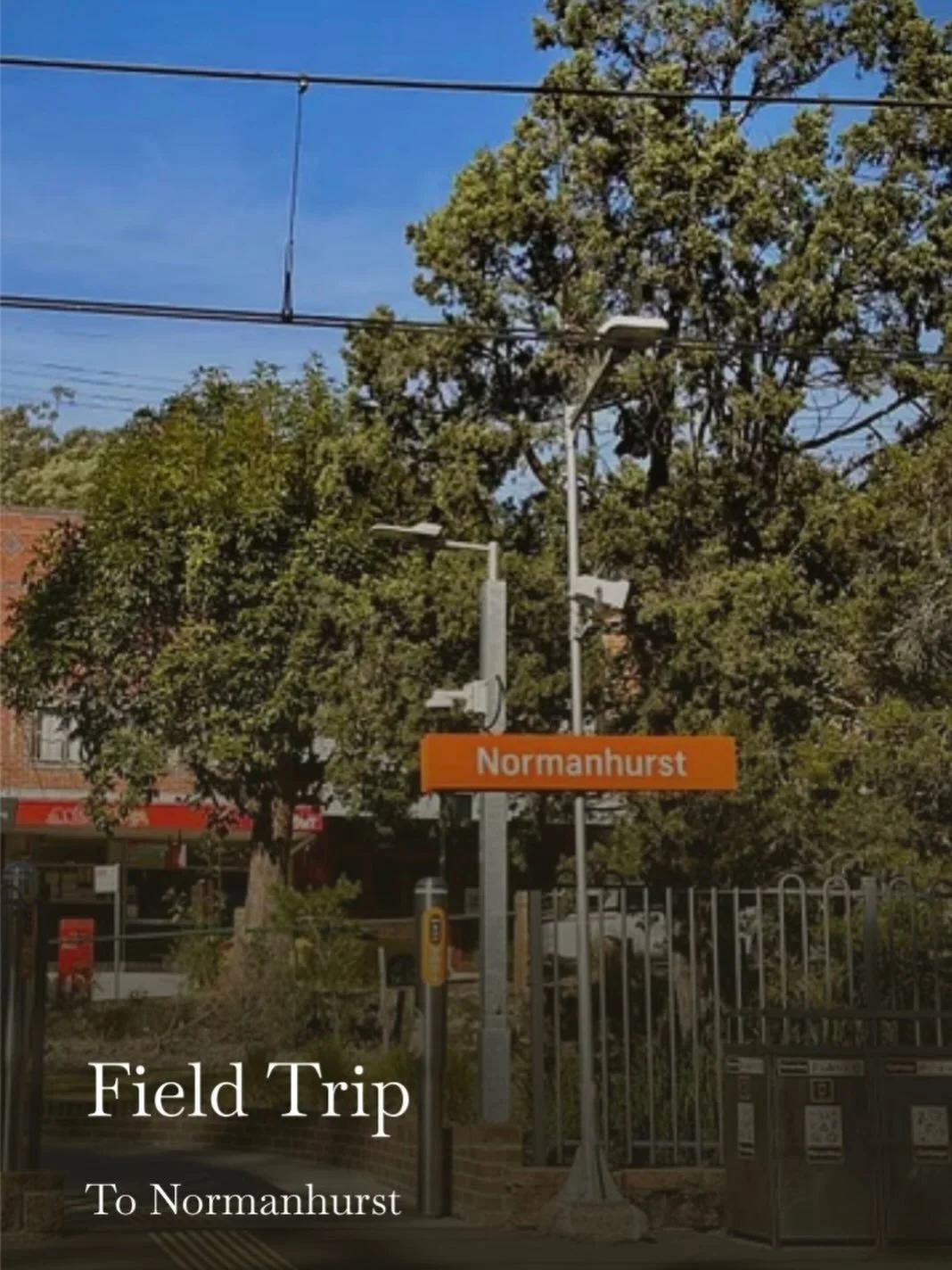 It&rsquo;s Friday. A new How To Downsize is out. 

https://annettehiggs.substack.com/p/field-trip-5c8