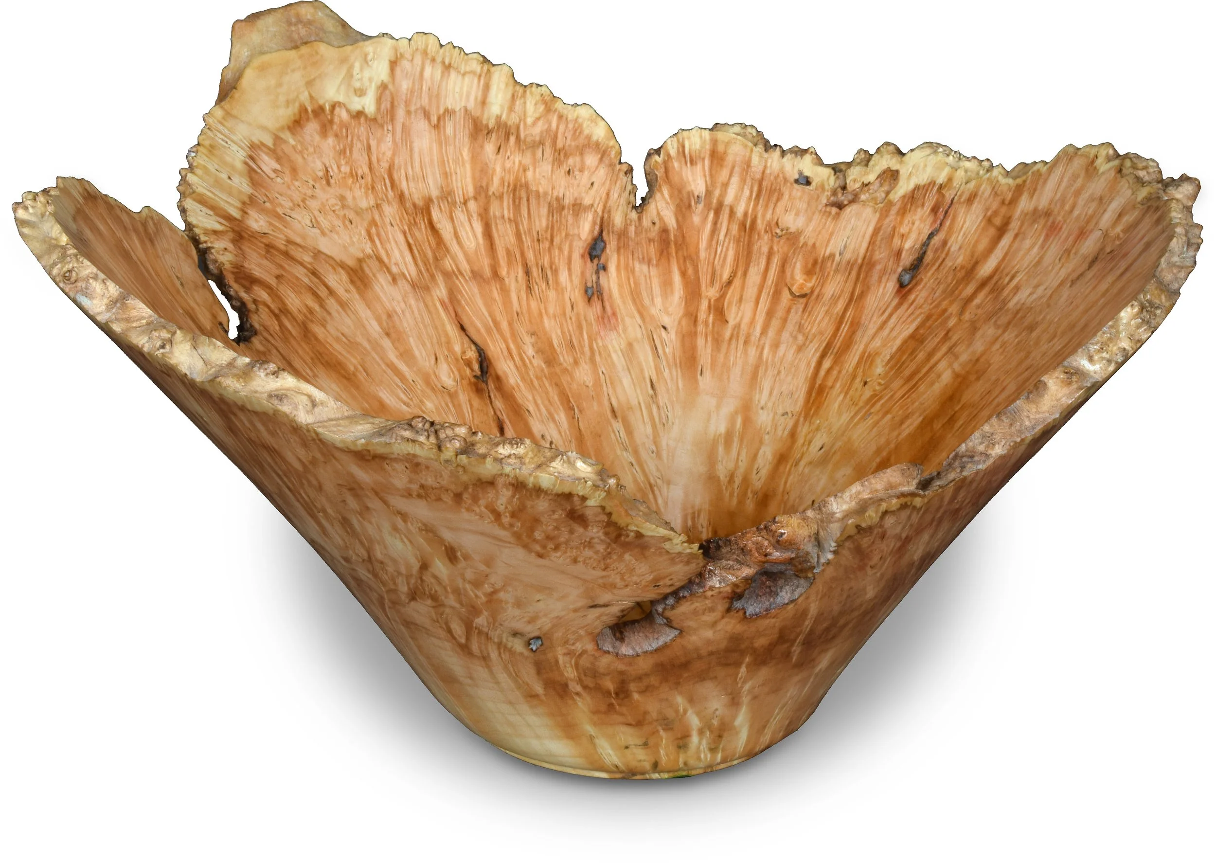 Flared Drama in Wood