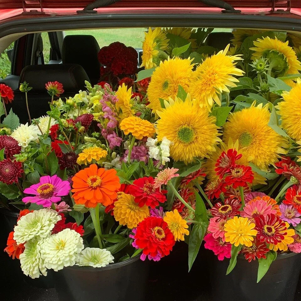 Ten Mile Bouquet