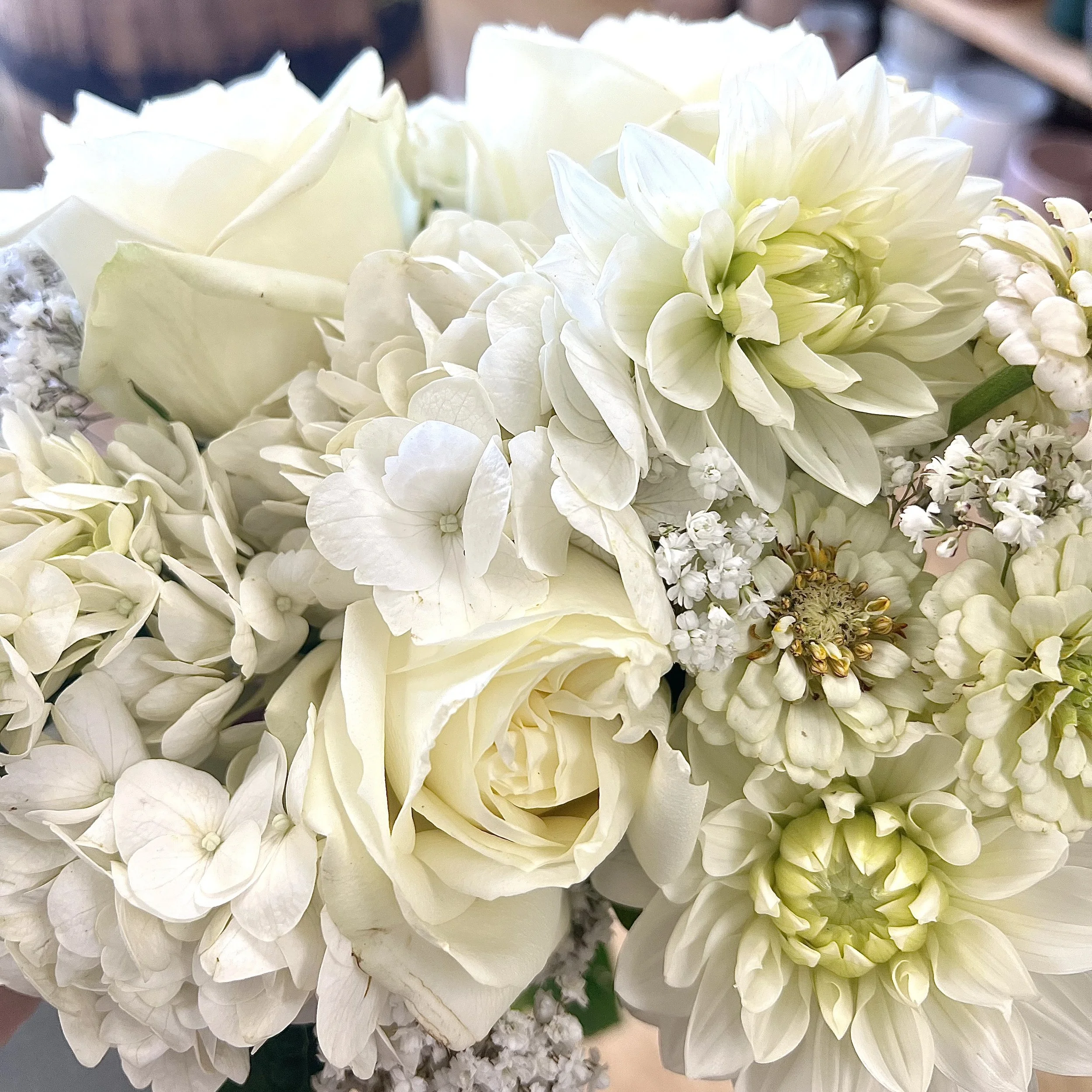 Shades of White