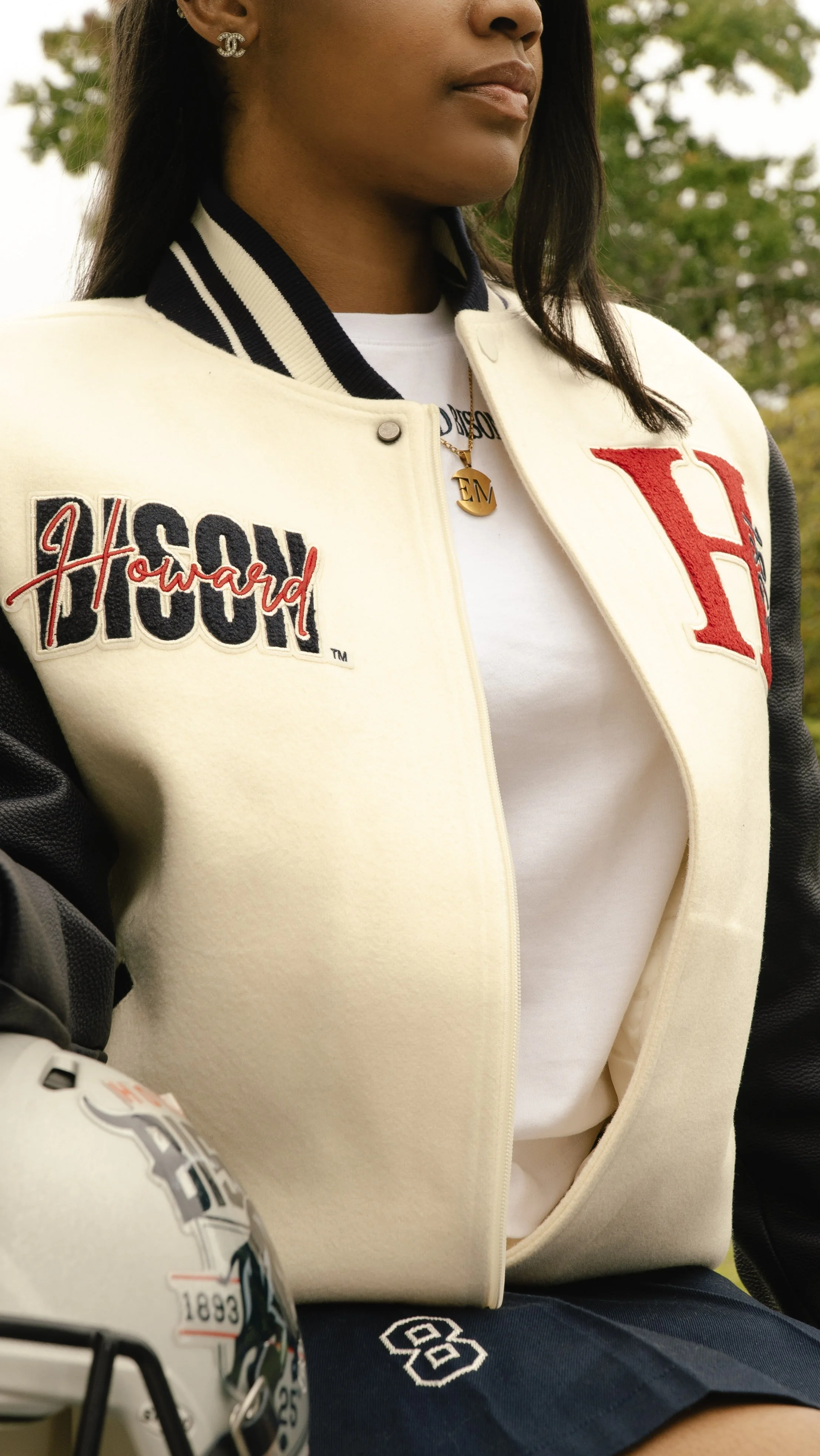 Howard University Bison.jpg