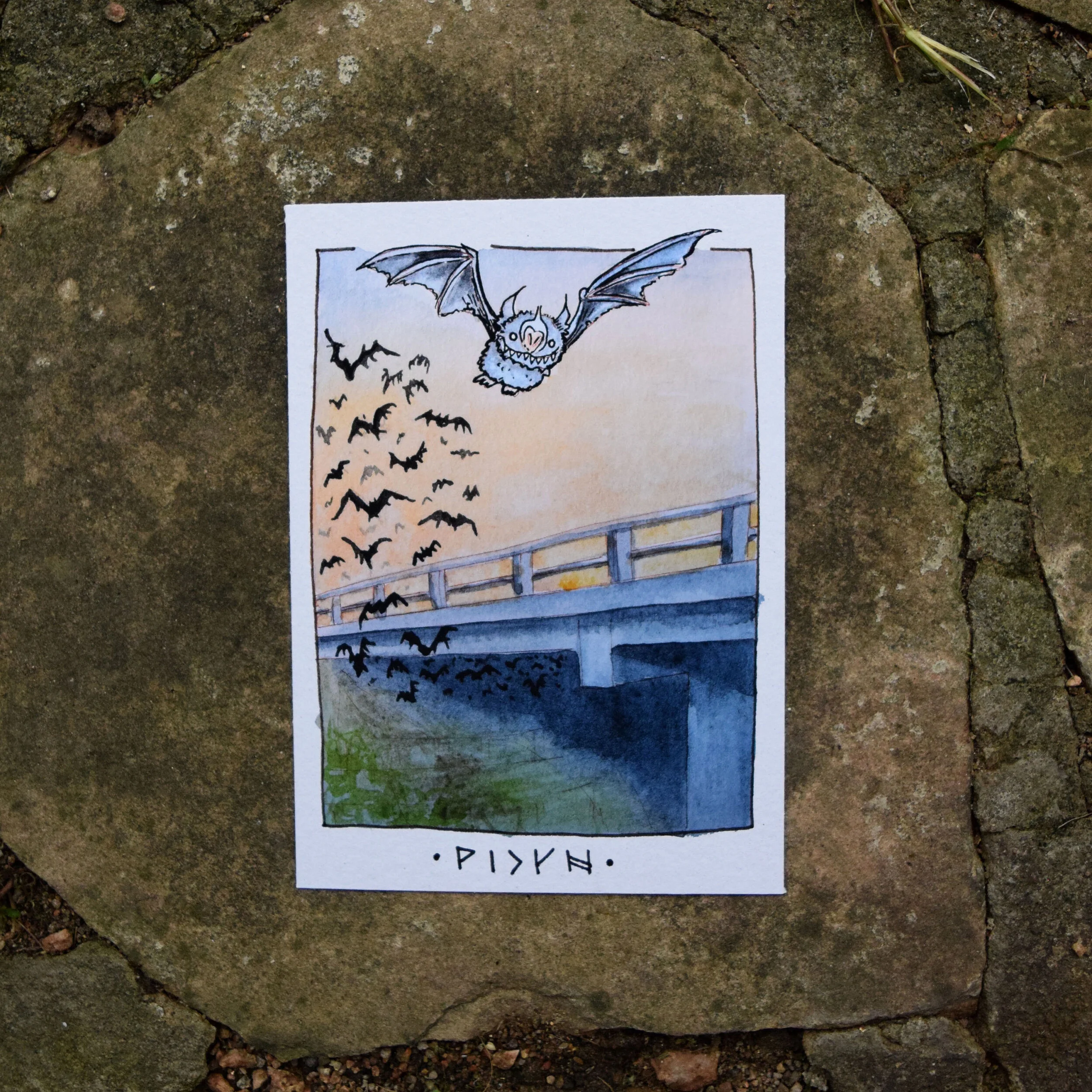 https://i.etsystatic.com/5904043/r/il/59ed26/3243687771/il_fullxfull.3243687771_bchm.jpg