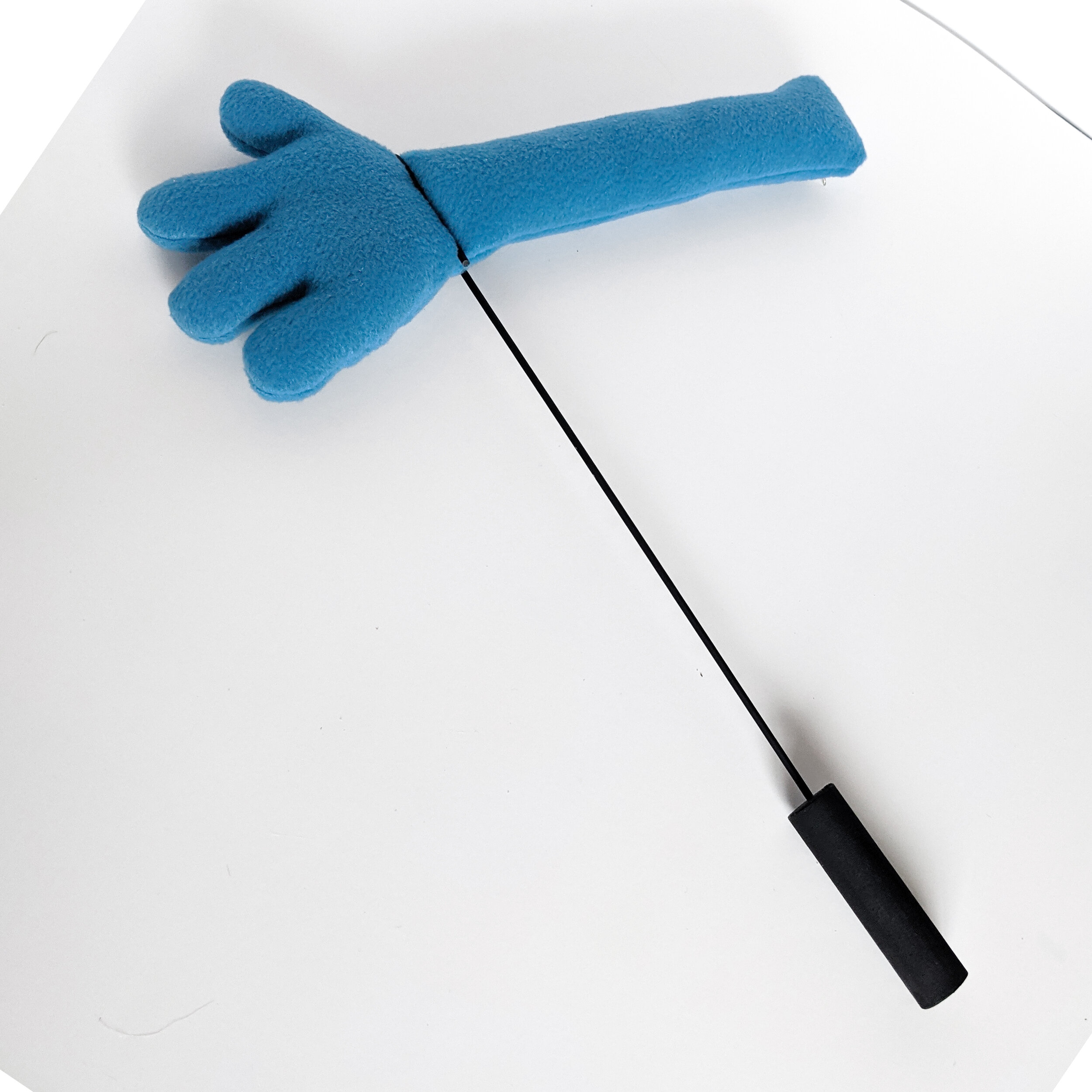 Arm Rod on arm.jpg