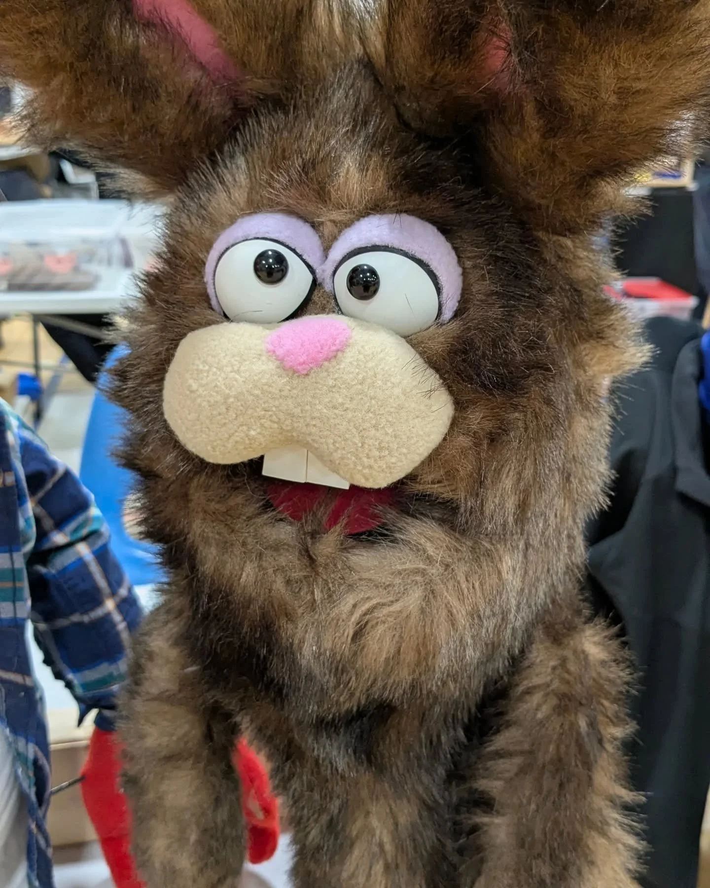 I have some Bunnies for sale over on my website. Go check them out! 

https://mypuppetpal.ca/shop/p/h3yu4fl0mde3ozgavi4ocvyn48utbn

#easterpuppet #easterbunny #bunny #rabbit #rabbitpuppet #easterrabbit #hoppyeaster #puppet #easter #easterweekend #eas