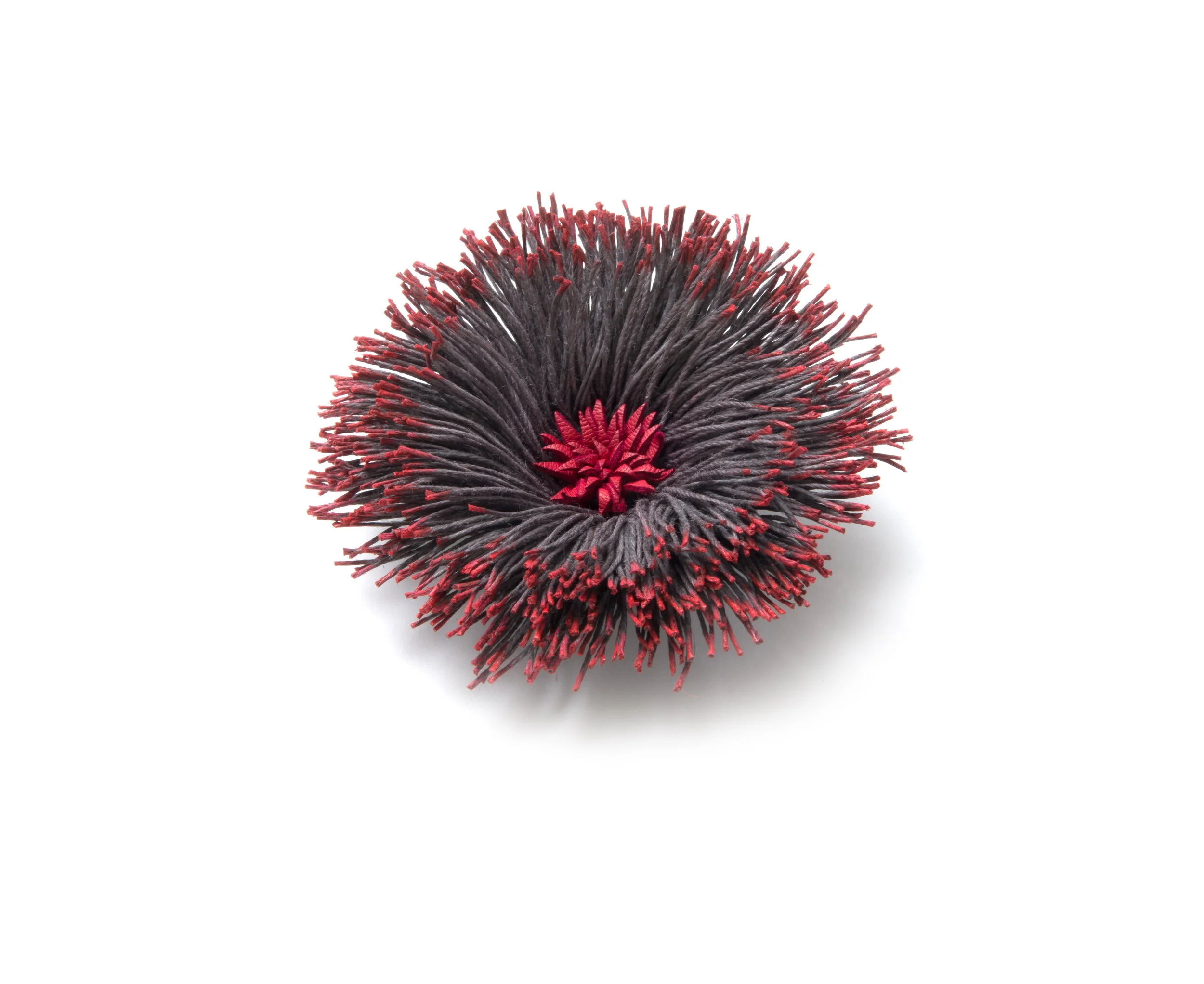 13 - Mellow eucalypt hybrid.jpg