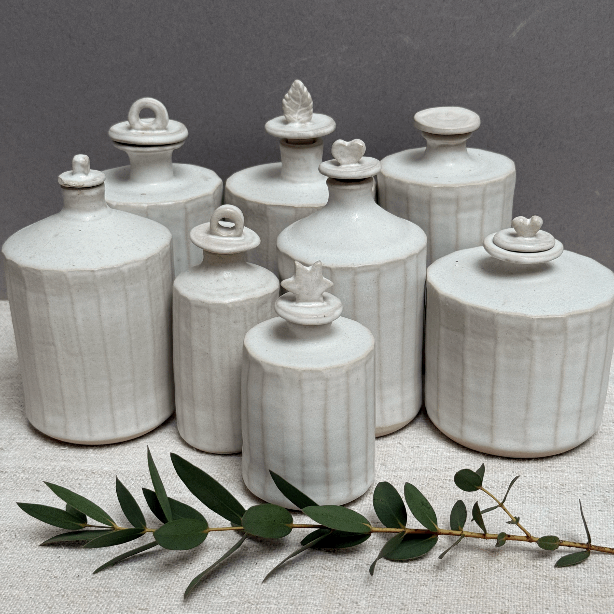 tempImagehNI1mv.gif (Copy)