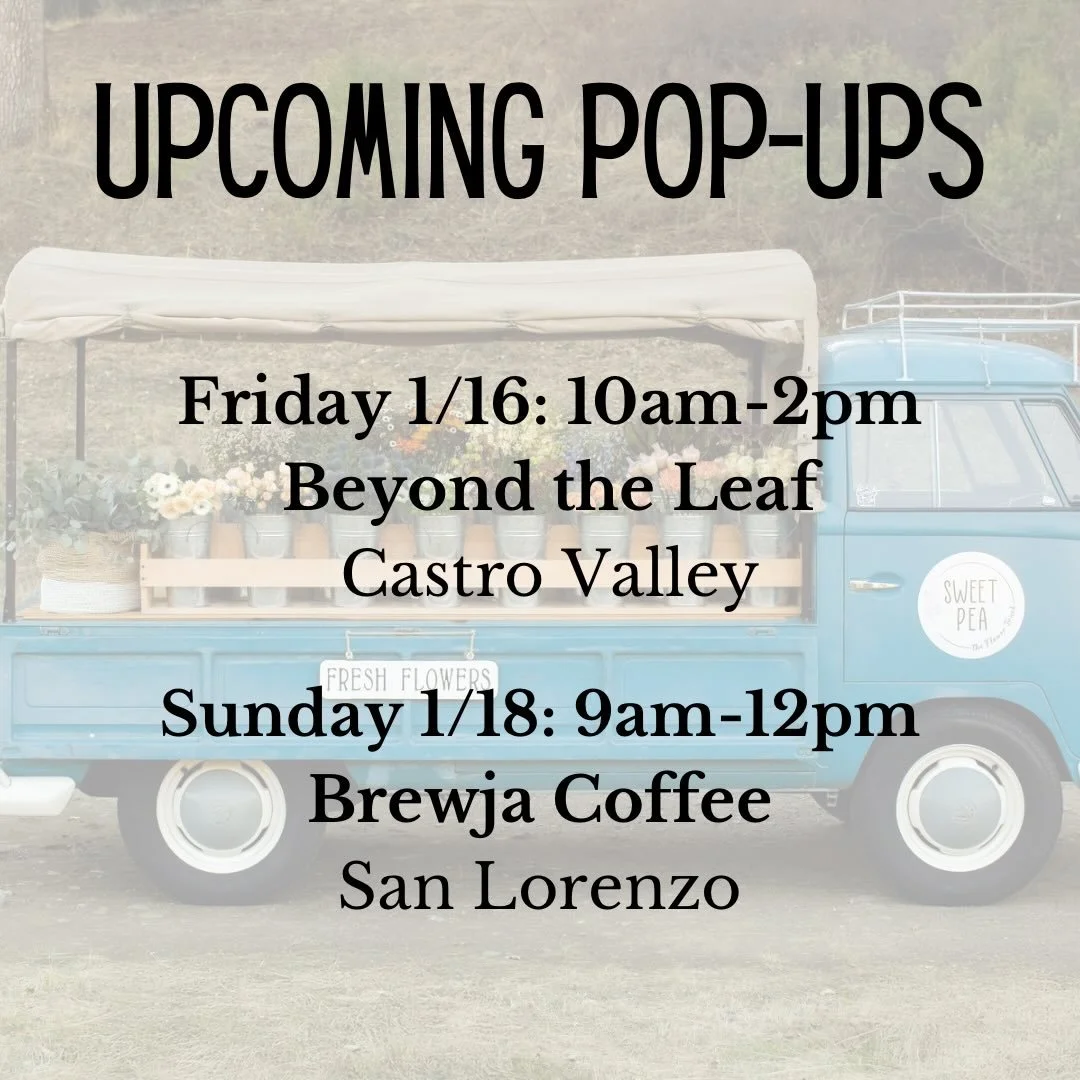 Here&rsquo;s where we&rsquo;ll be next💐

Friday 1/16
10am-2pm
Castro Valley 
@beyondtheleafcv 

Sunday 1/18
9am-12pm
San Lorenzo 
@brewjacoffee