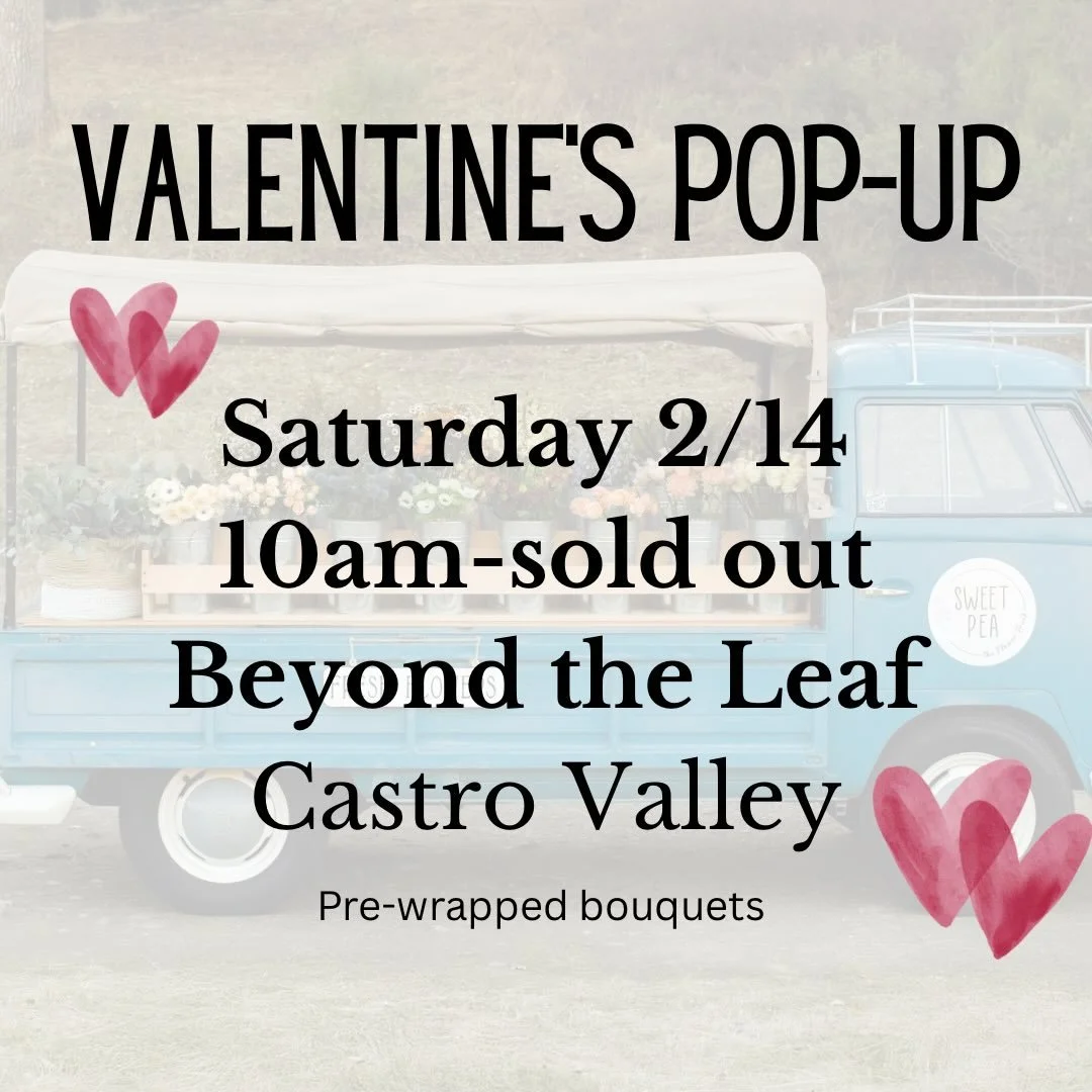 We&rsquo;ll be at @beyondtheleafcv on Valentine&rsquo;s Day from 10am-sold out with pre-wrapped bouquets. ❤️