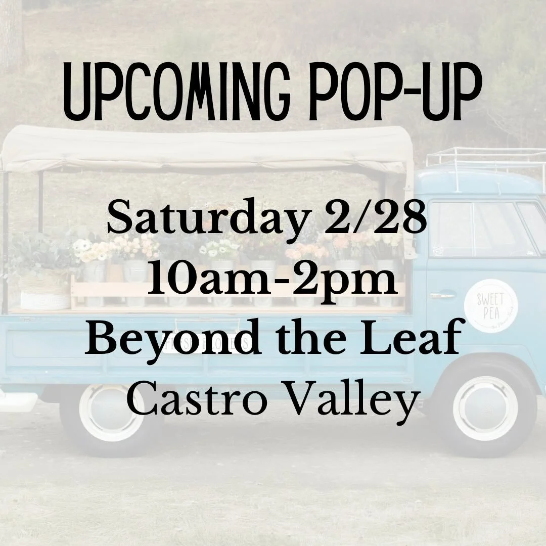 Here&rsquo;s where we&rsquo;ll be next💐

Saturday 2/28
10am-2pm
Castro Valley 
@beyondtheleafcv 

#sweetpeatheflowertruck