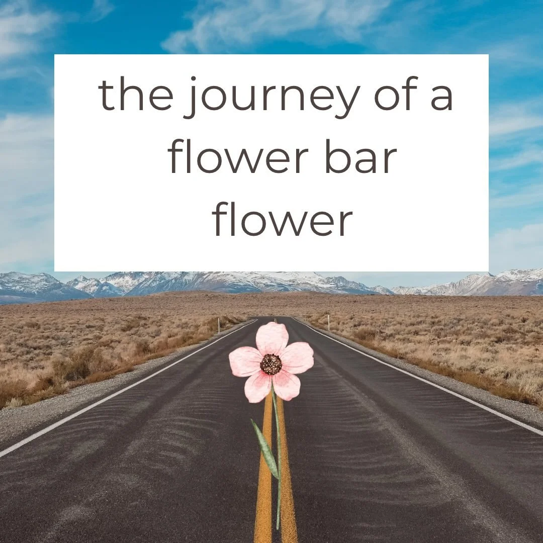 Behind the scenes.
&bull;The San Francisco Flower Market
&bull;My car
&bull;Buckets of water
&bull;Each stem is processed by my hands 
&bull;Back in my car or on Sweet Pea 
&bull;Looking beautiful on the flower bar 
&bull;Ready to go home with its ne