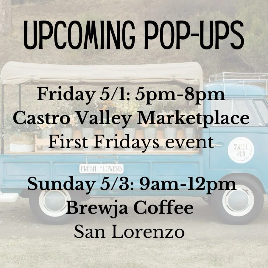 Here&rsquo;s where you&rsquo;ll find us next💐

Friday 5/1
5pm-8pm
@castrovalleymarketplace 
First Fridays event! Music, vendors, food, activities, and more!!

Sunday 5/3
9am-12pm
@brewjacoffee 

#sweetpeatheflowertruck