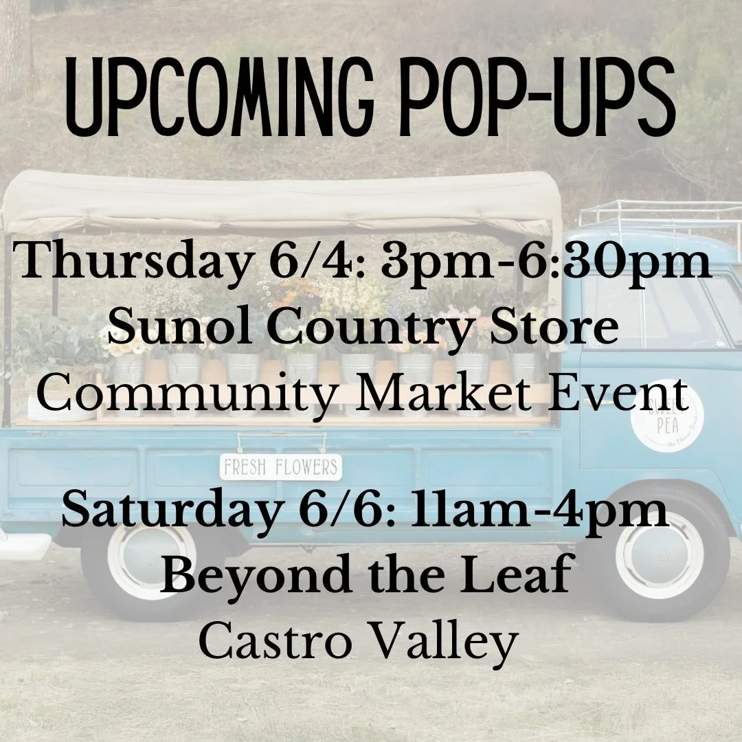 Here&rsquo;s where you&rsquo;ll find us next💐

June 4th
3:00pm-6:30pm
Downtown Sunol 
@sunol_countrystore 
We&rsquo;ll be part of the Community Market Event with shopping, food, wine tasting and more! 

June 6th
11am-4pm
Castro Valley
@beyondtheleaf