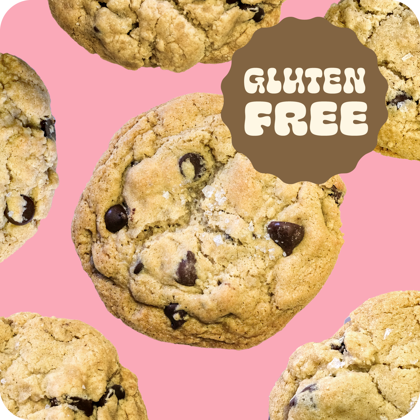 6 gluten free!