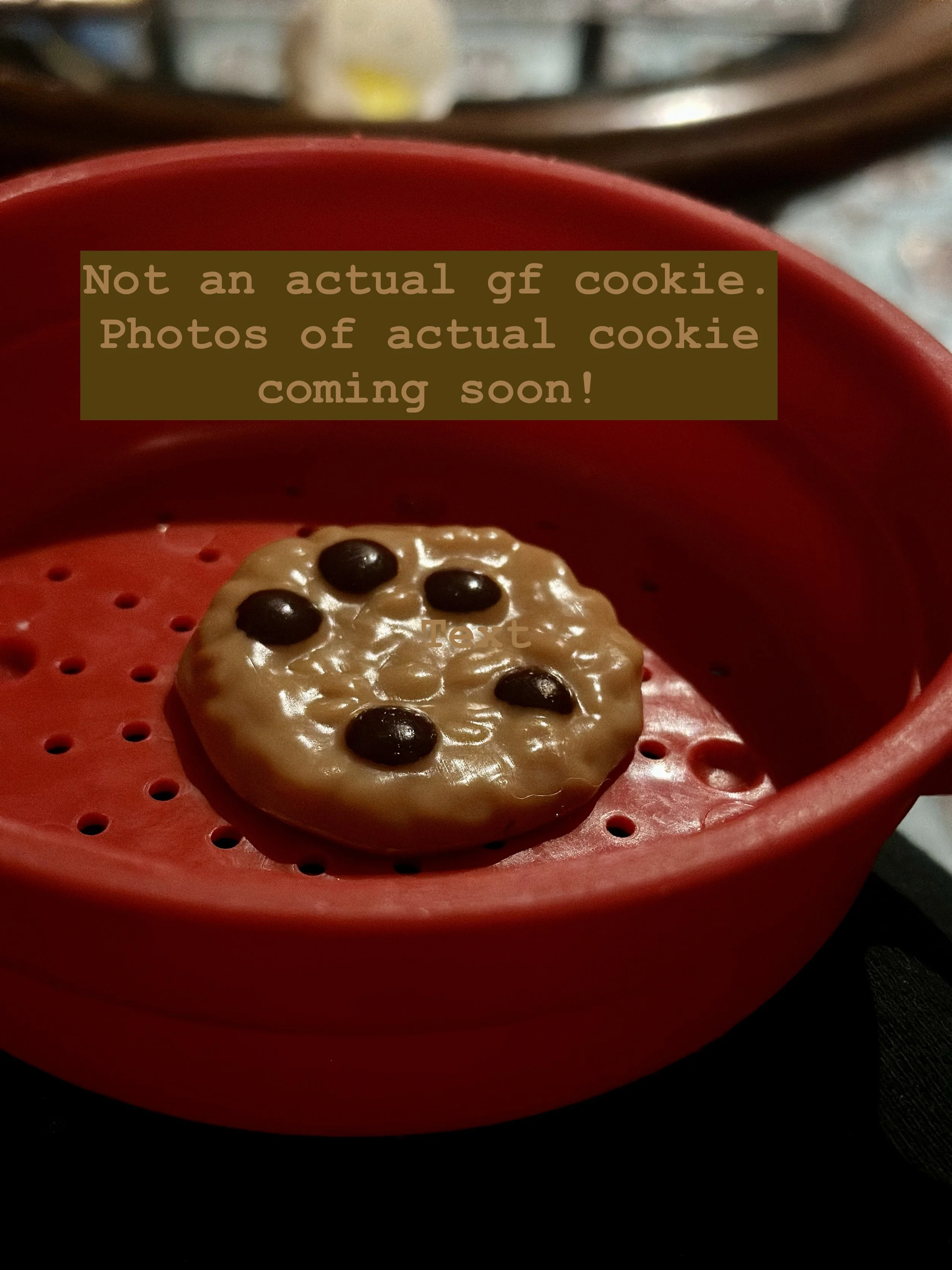 IMG_1800.jpeg