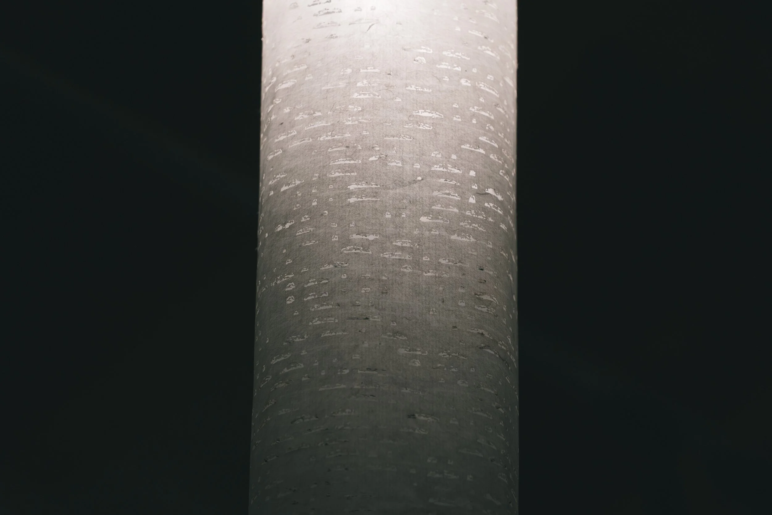 HKH2025-398.jpg