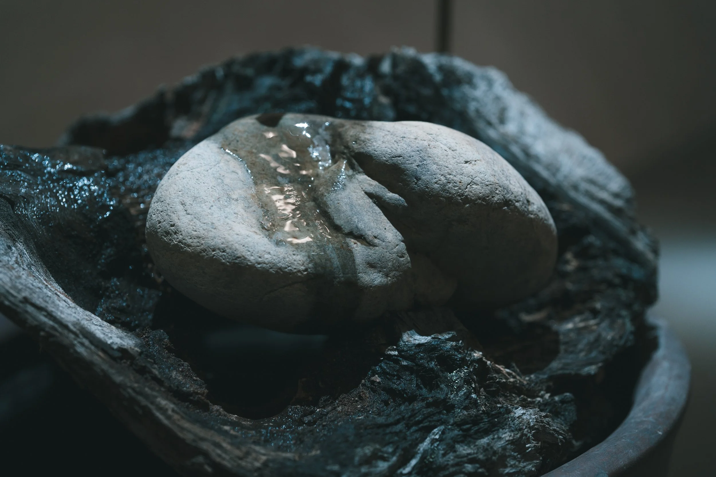 HKH2025-385.jpg