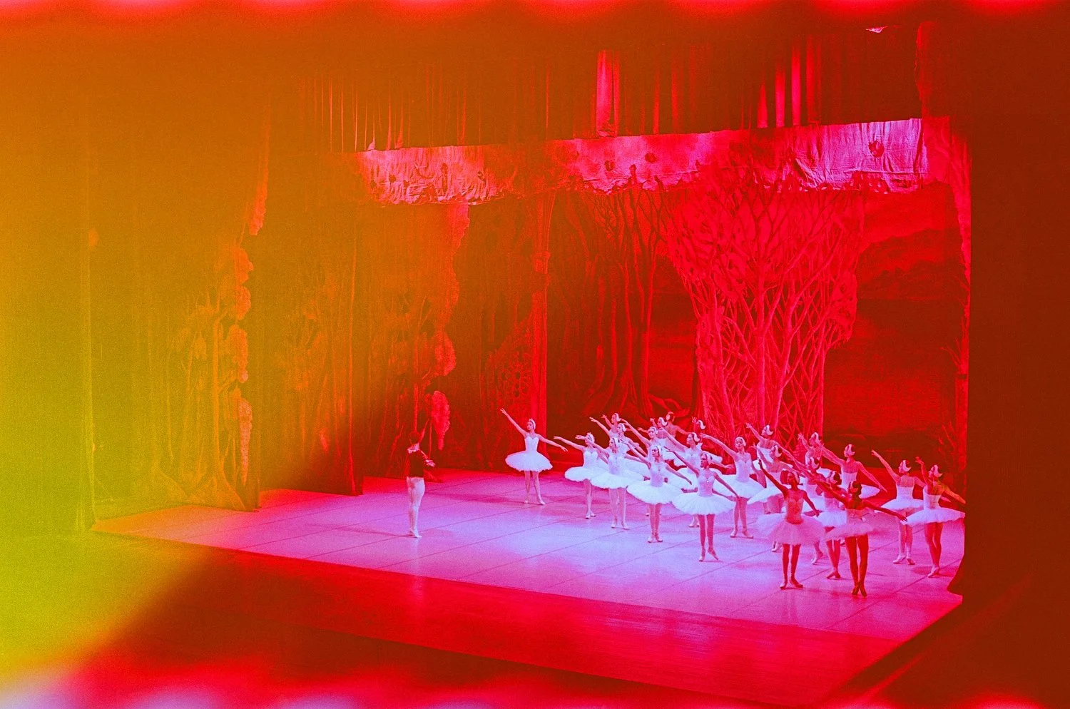 Markosian_Ballet_005.JPG