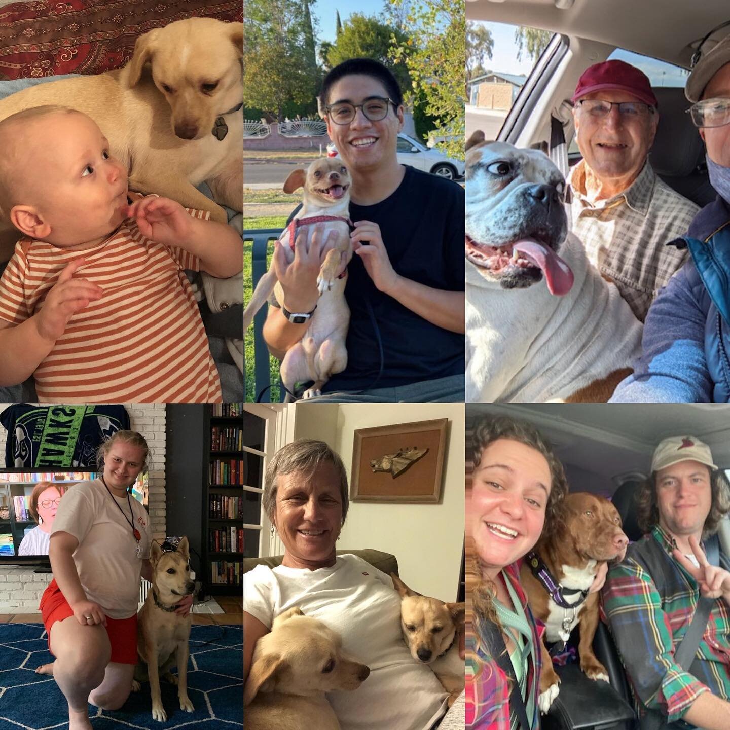 It&rsquo;s #givingtuesday and Tails is asking for your support!  Take a look at some of our happy adopters and their Tails pups!  We take dogs from the shelters where they are at risk for euthanasia, get them healthy and place them in loving homes!
❤