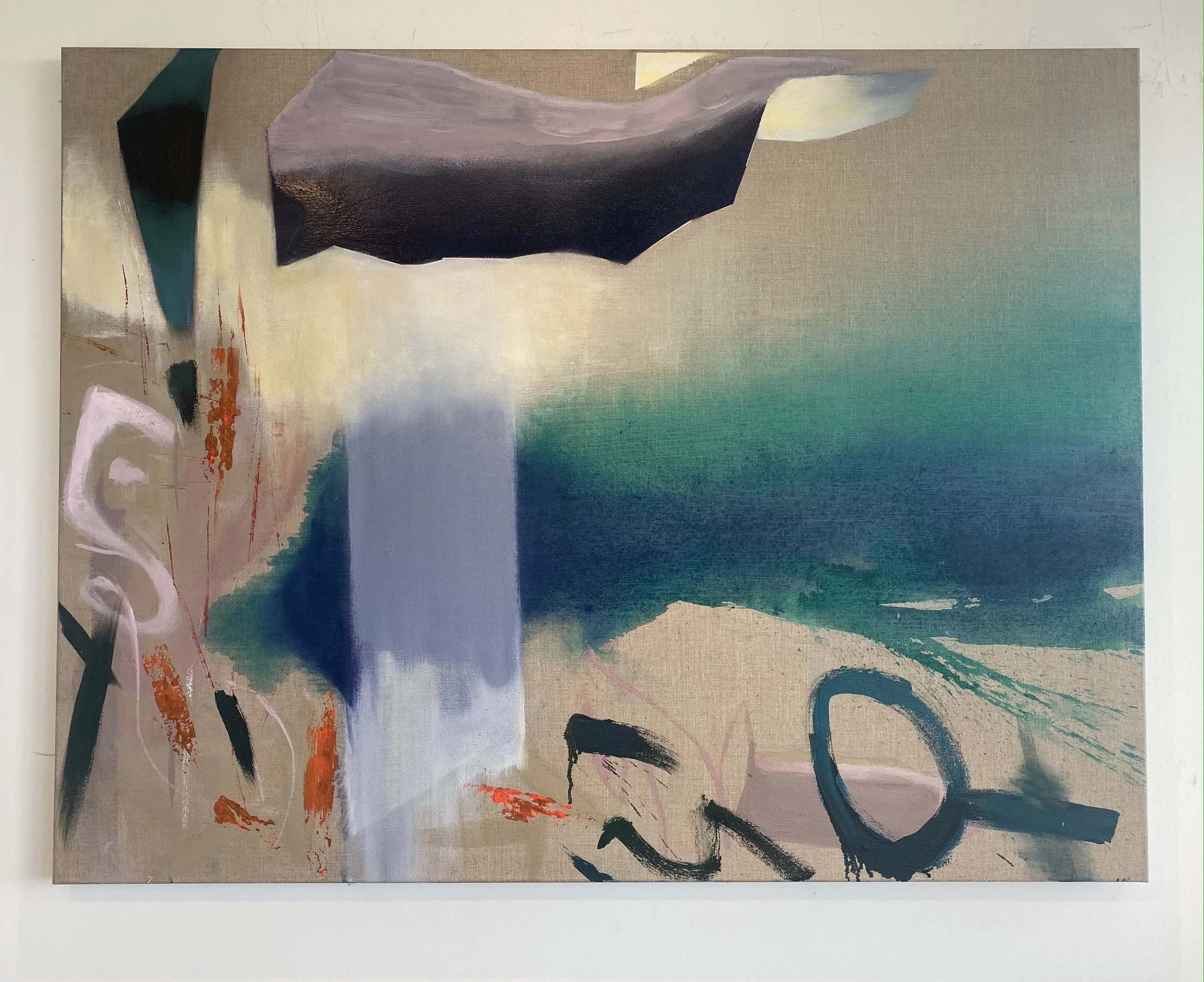  Acrylic, oil and spray paint on canvas  100cm x 130cm 