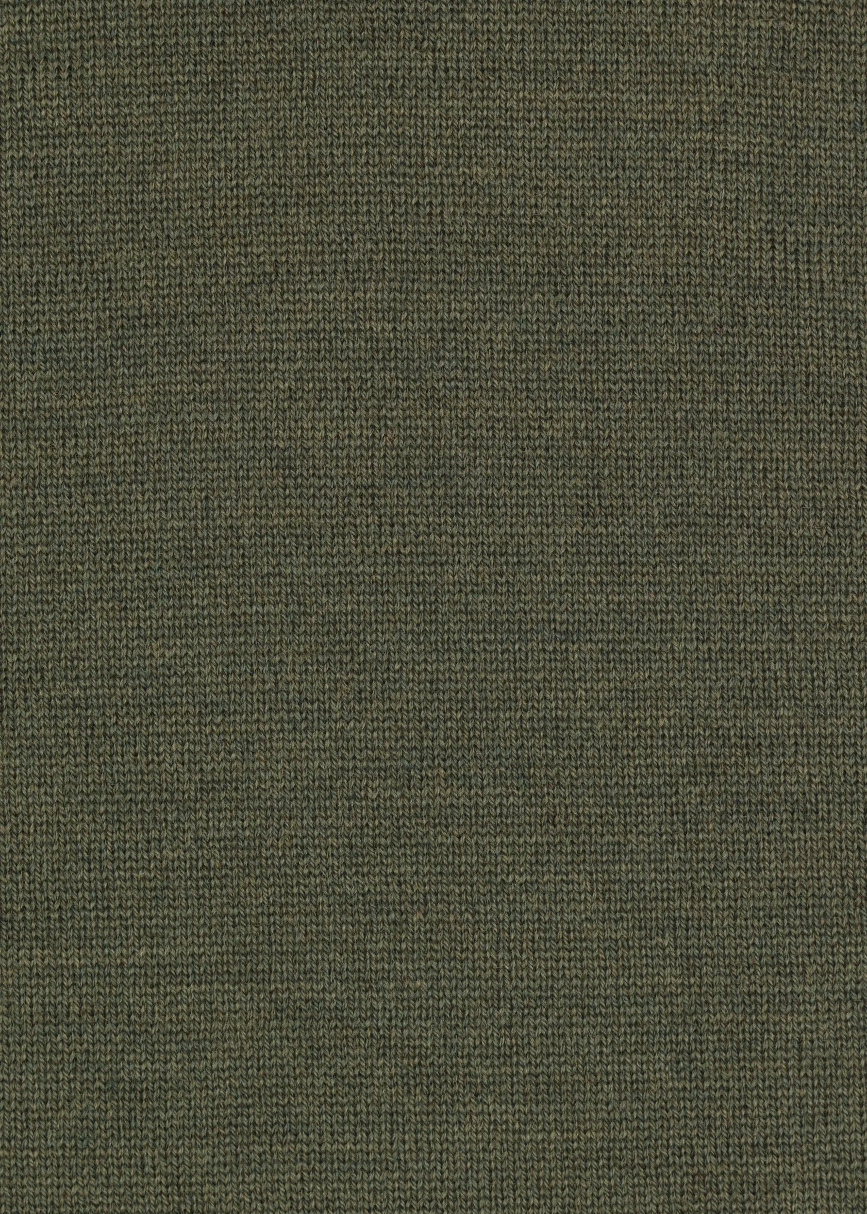 Olive.jpg
