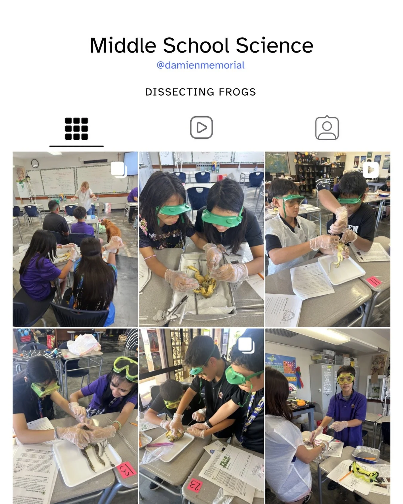 This is what science looks like at Damien 🐸🧪

Our middle school students stepped into the role of real scientists&mdash;scalpels in hand, curiosity on full display. Through frog dissection, they explored anatomy up close, asked deeper questions, an