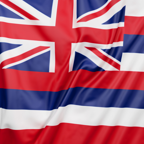 hawaiian studuies.png