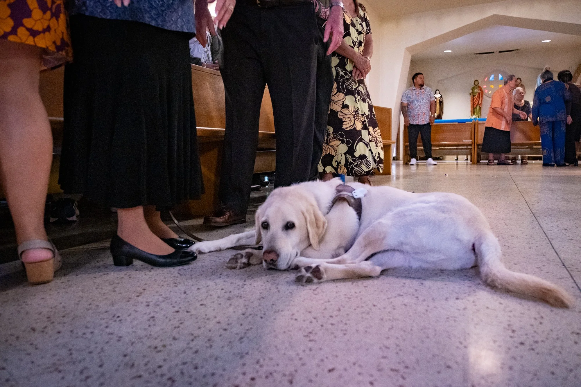 2025 Baccalaureate Mass-34.jpg