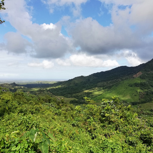 All About ʻĀina (land) Summer (Gr 7 & 8)