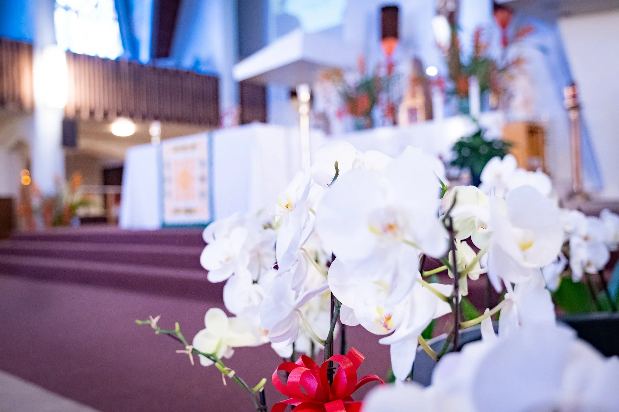 2025 Baccalaureate Mass-18.jpg