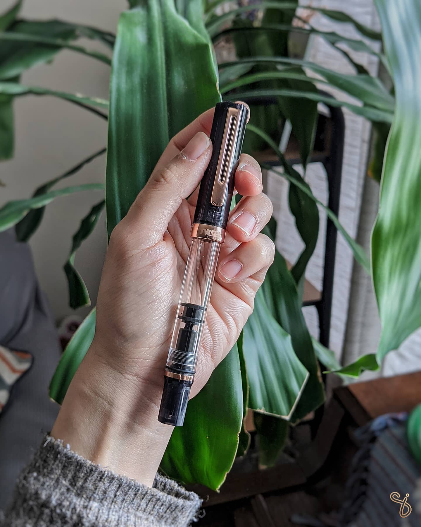 Happy first day of March! I want to break in my TWSBI ECO Smoke Rosegold fountain pen with EF nib. What should I ink this up with?!