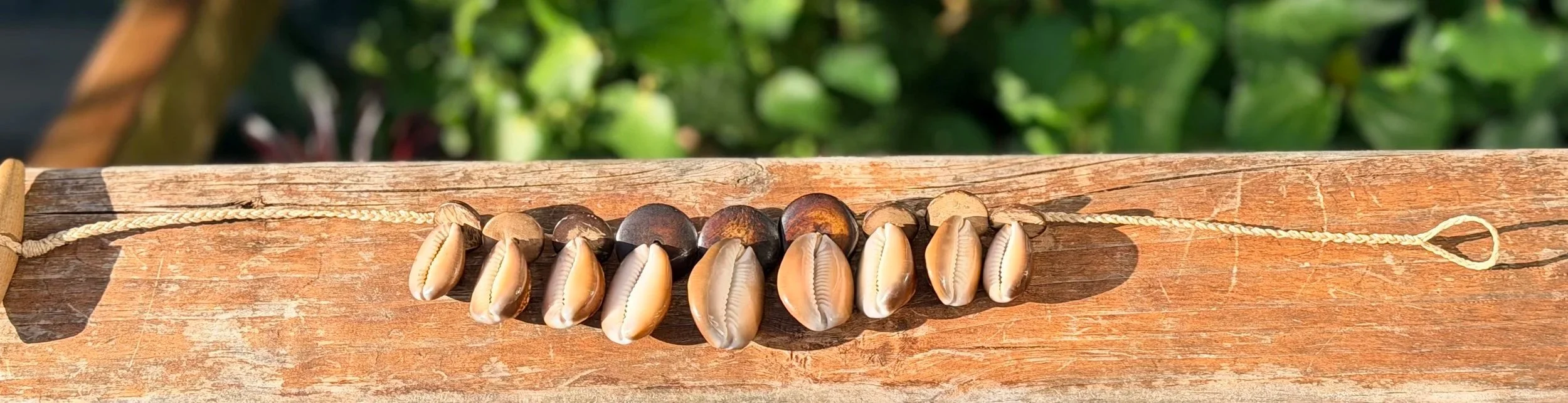 IMG_8247.jpg