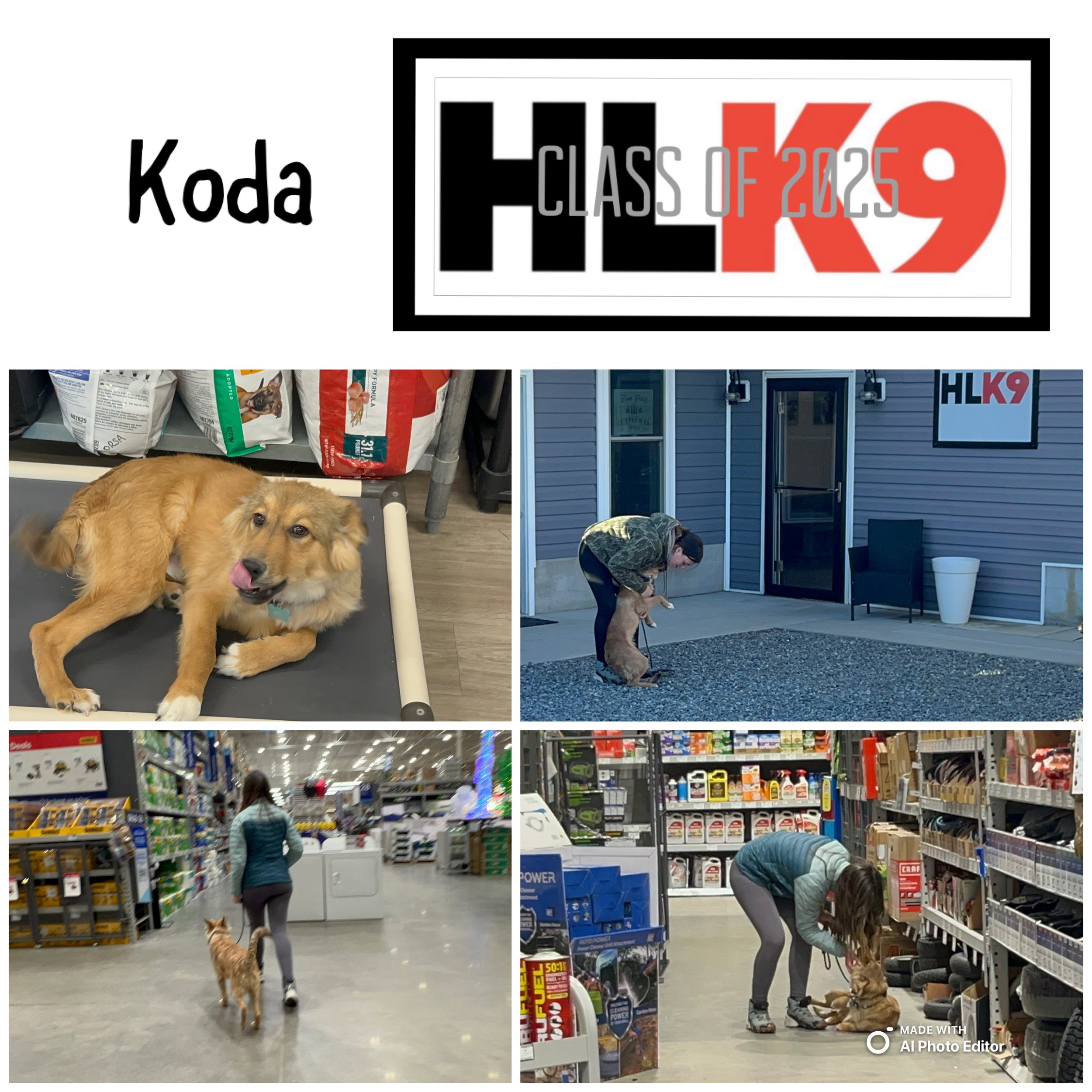 Koda.jpg