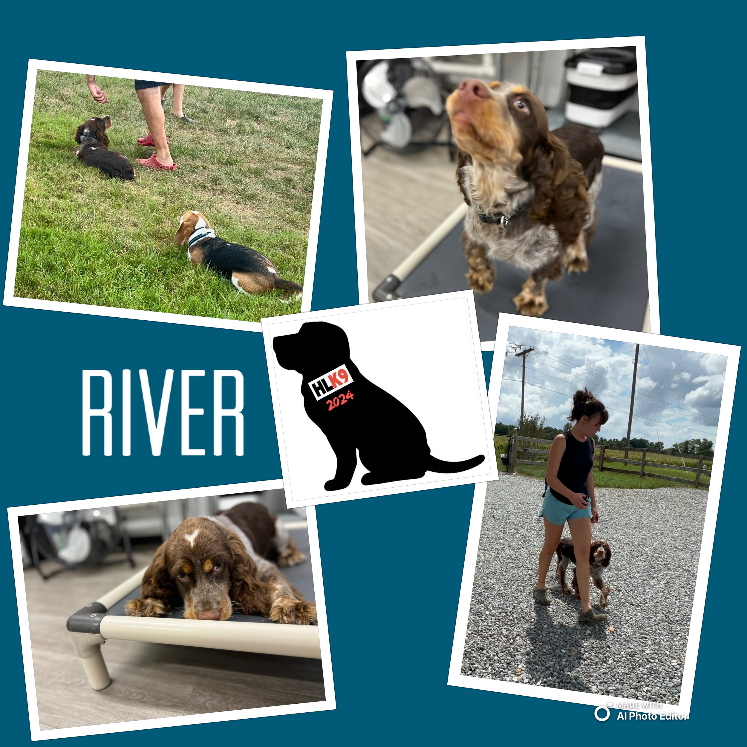 River.jpeg