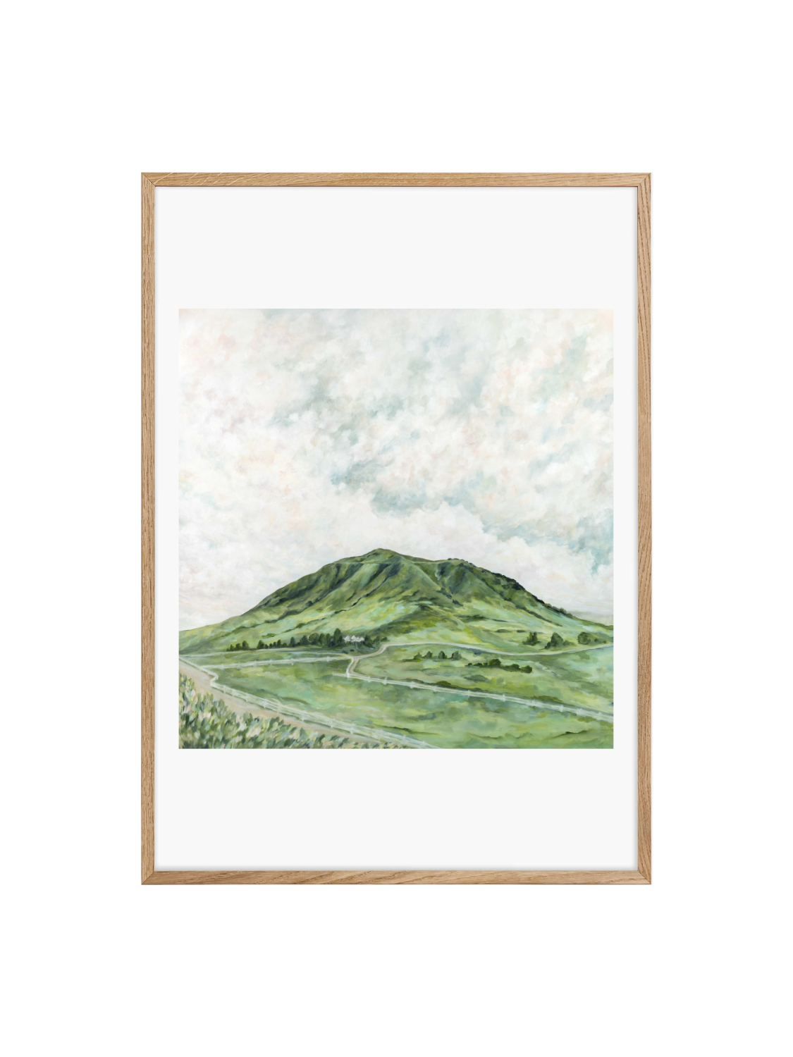“Cerro San Luis” Canvas Print