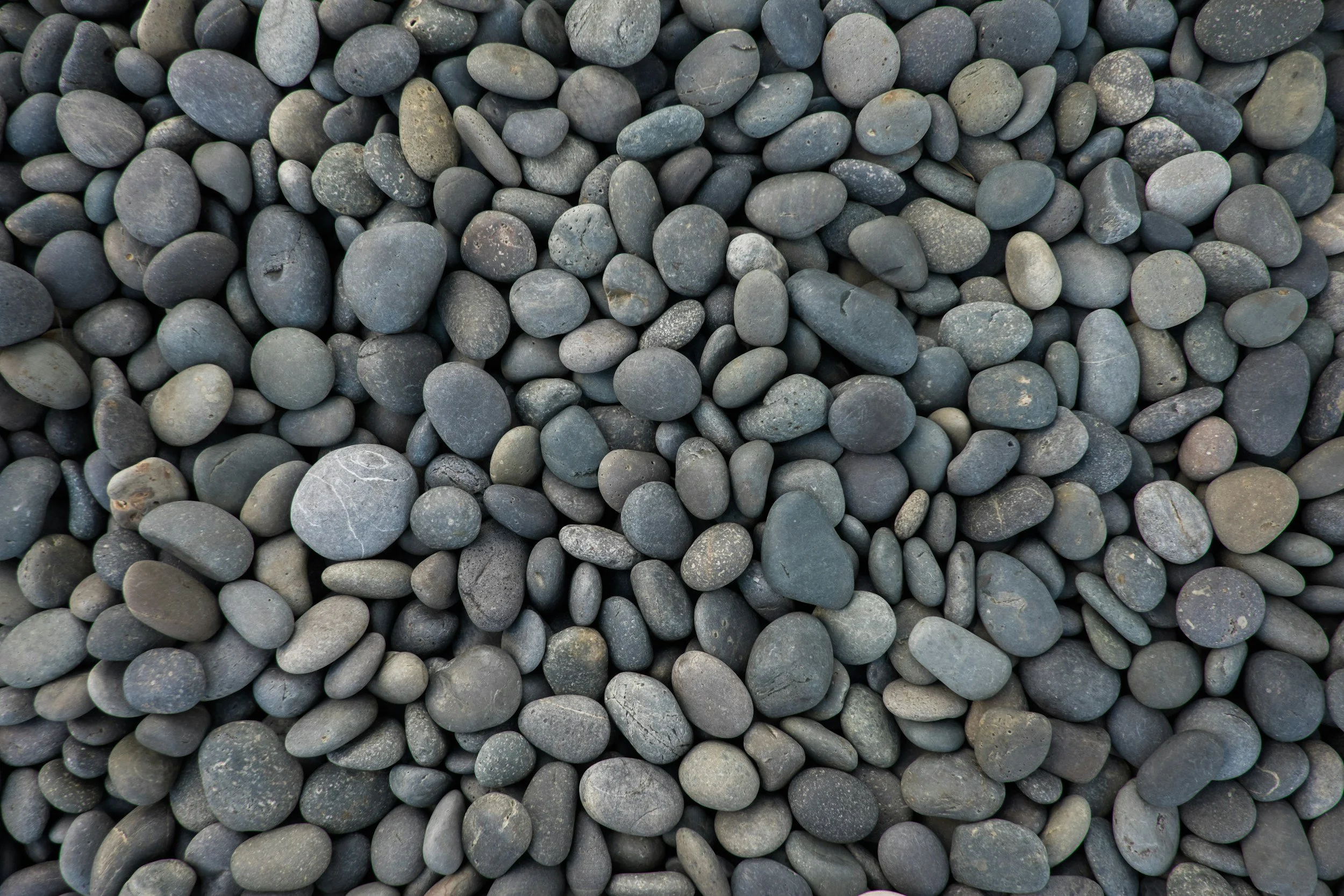 A close-up view of numerous small, smooth, rounded black and gray pebbles.