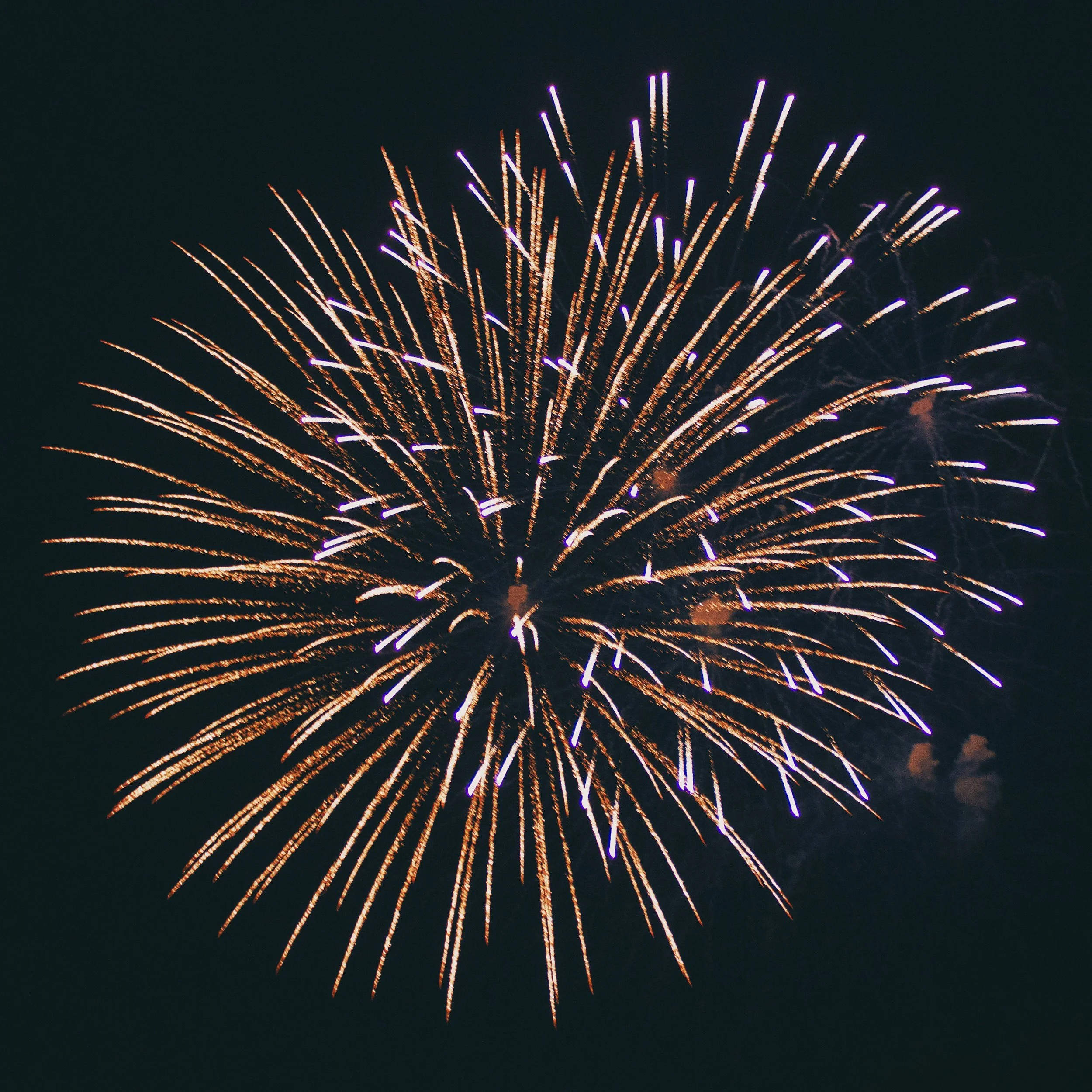 Fireworks exploding in the night sky with streaks of purple and gold light