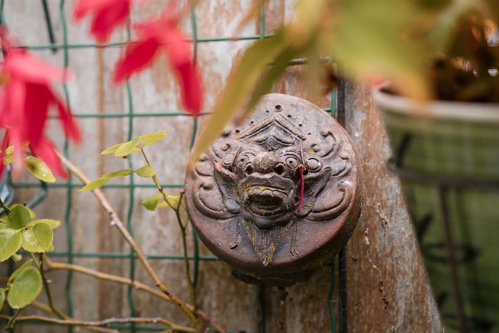 SIOH Pasar juli 2025-40.jpg