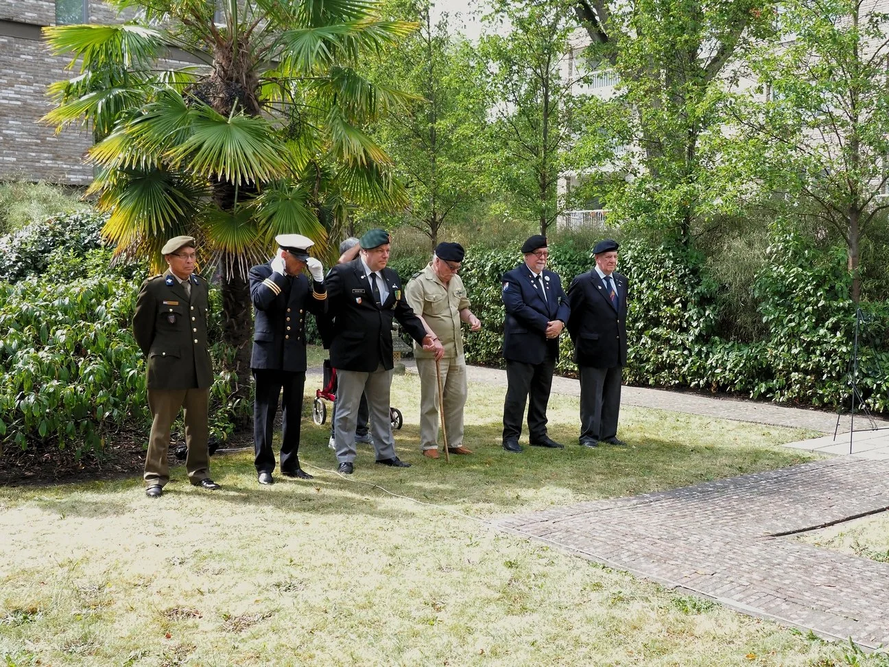 P8150039_edited (1).jpeg