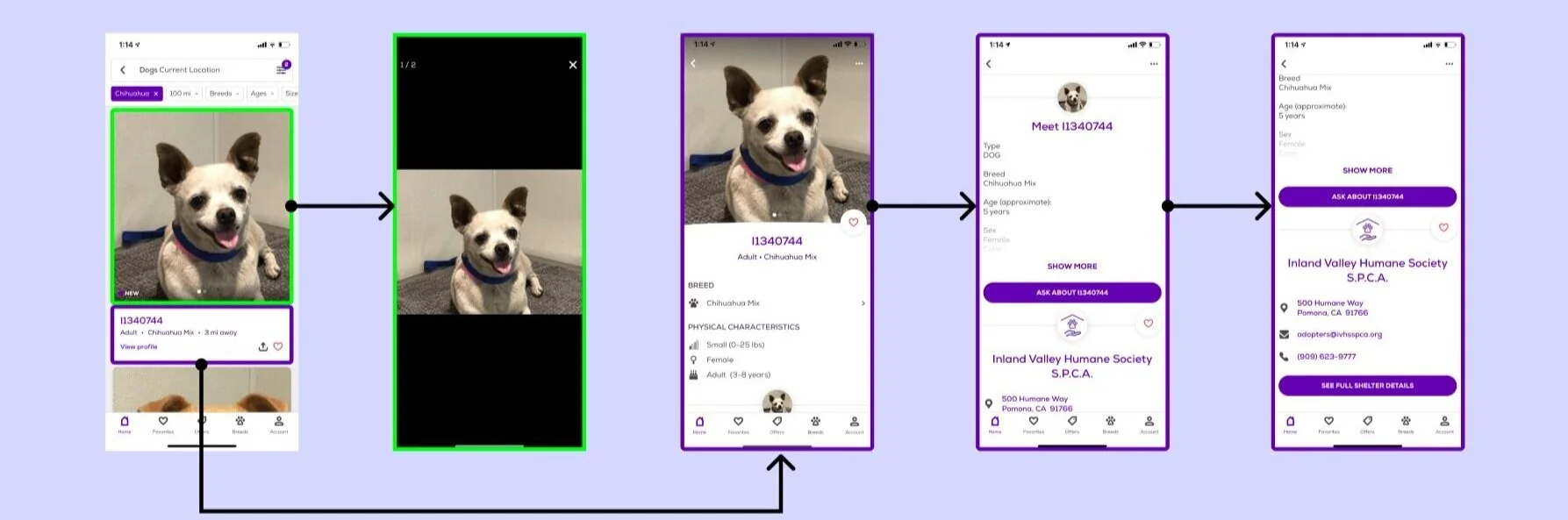 Current map and design of Petfinder’s search results