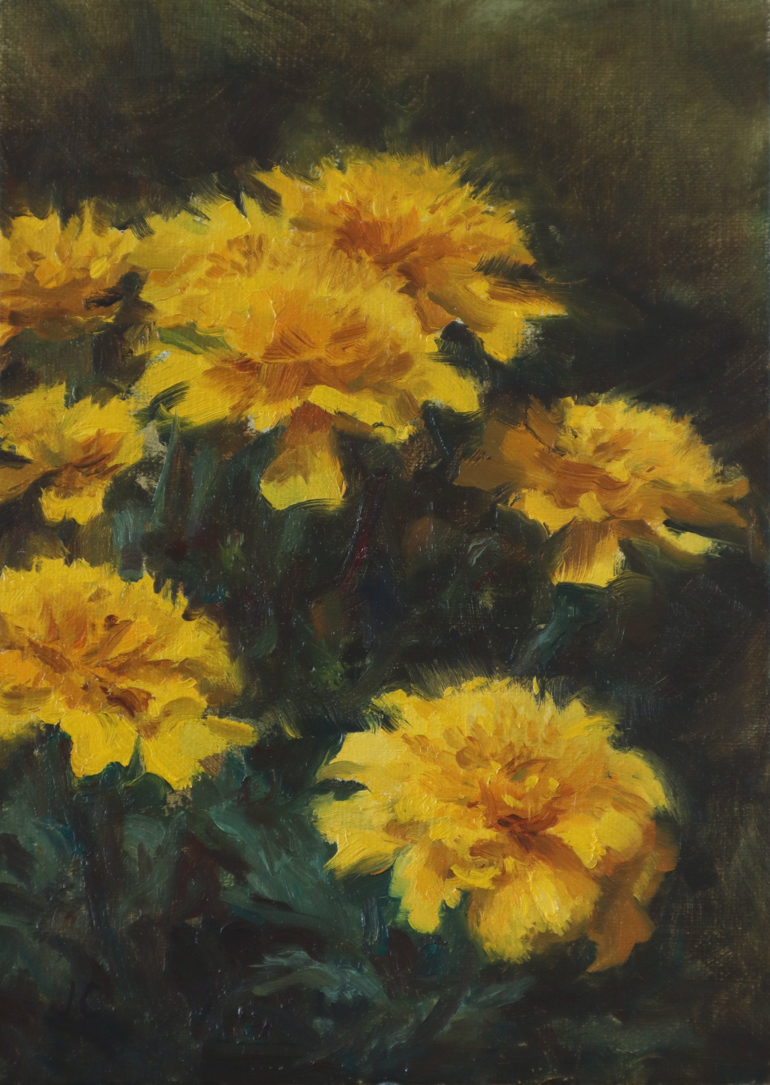 Marigolds_5x7_2026_Jess Chung.jpg